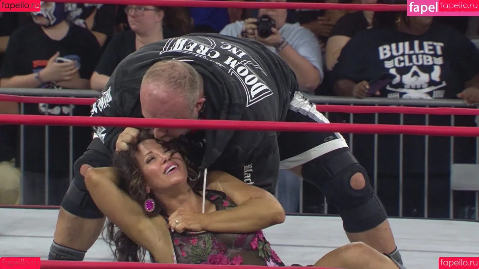 Mickie James / michelejames / themickiejames Onlyfans Photo Gallery 