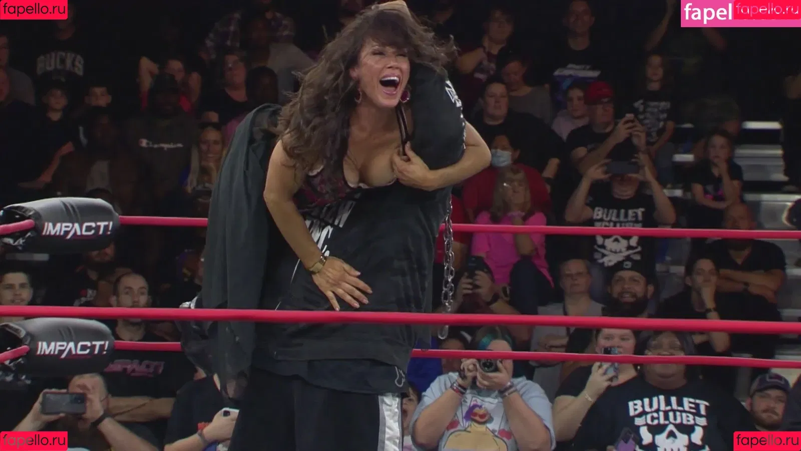 Mickie James / michelejames / themickiejames Onlyfans Photo Gallery 