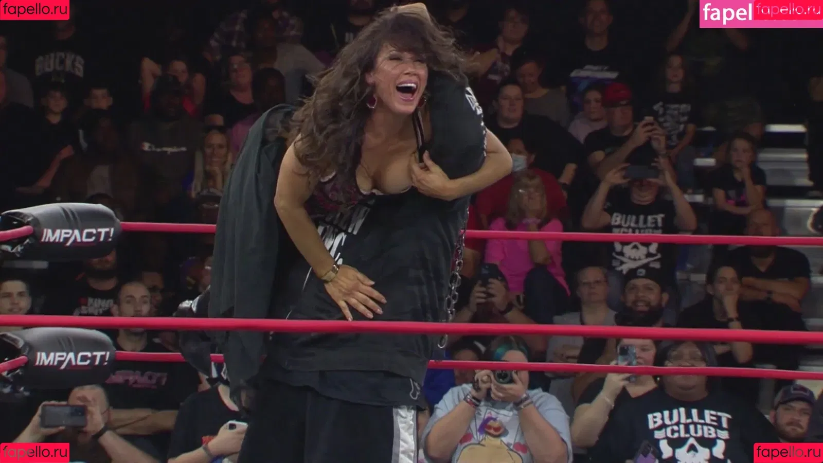 Mickie James / michelejames / themickiejames Onlyfans Photo Gallery 