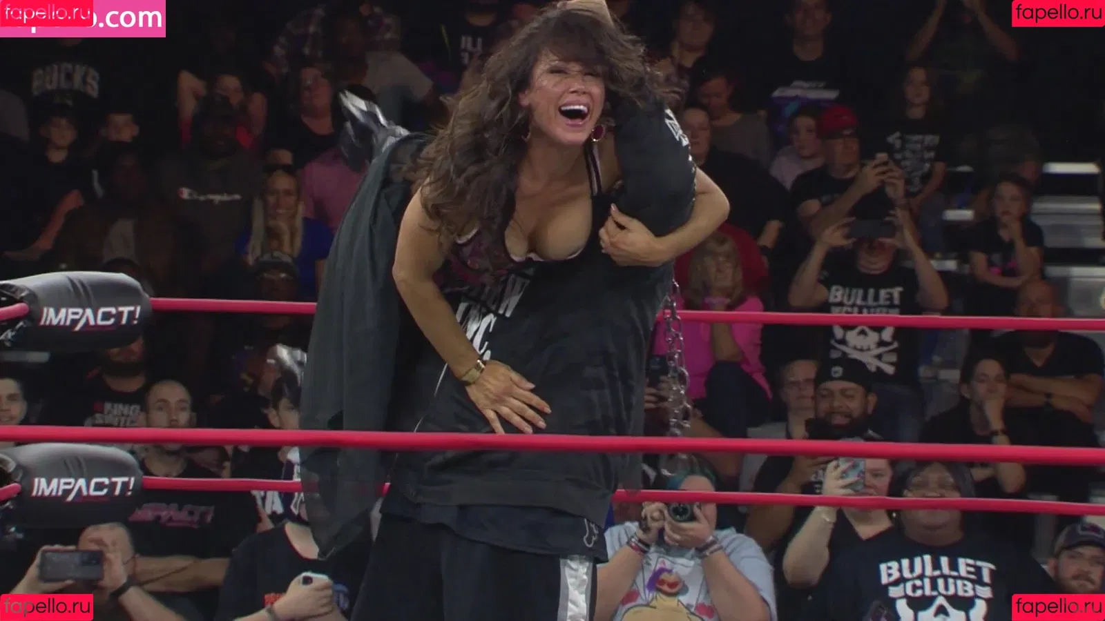 Mickie James / michelejames / themickiejames Onlyfans Photo Gallery 