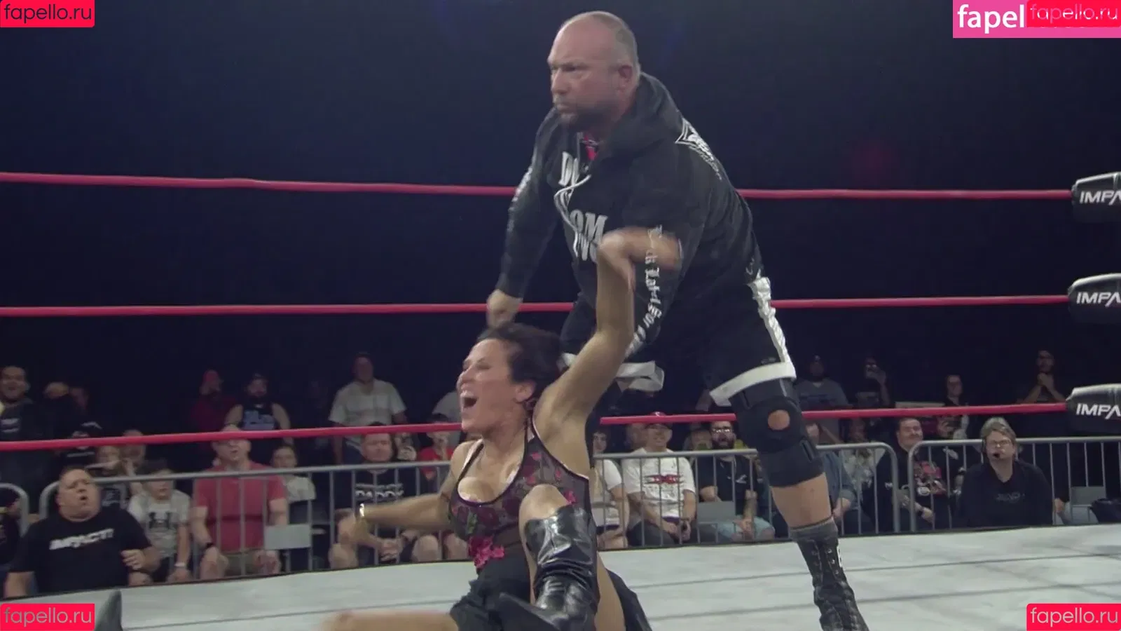Mickie James / michelejames / themickiejames Onlyfans Photo Gallery 