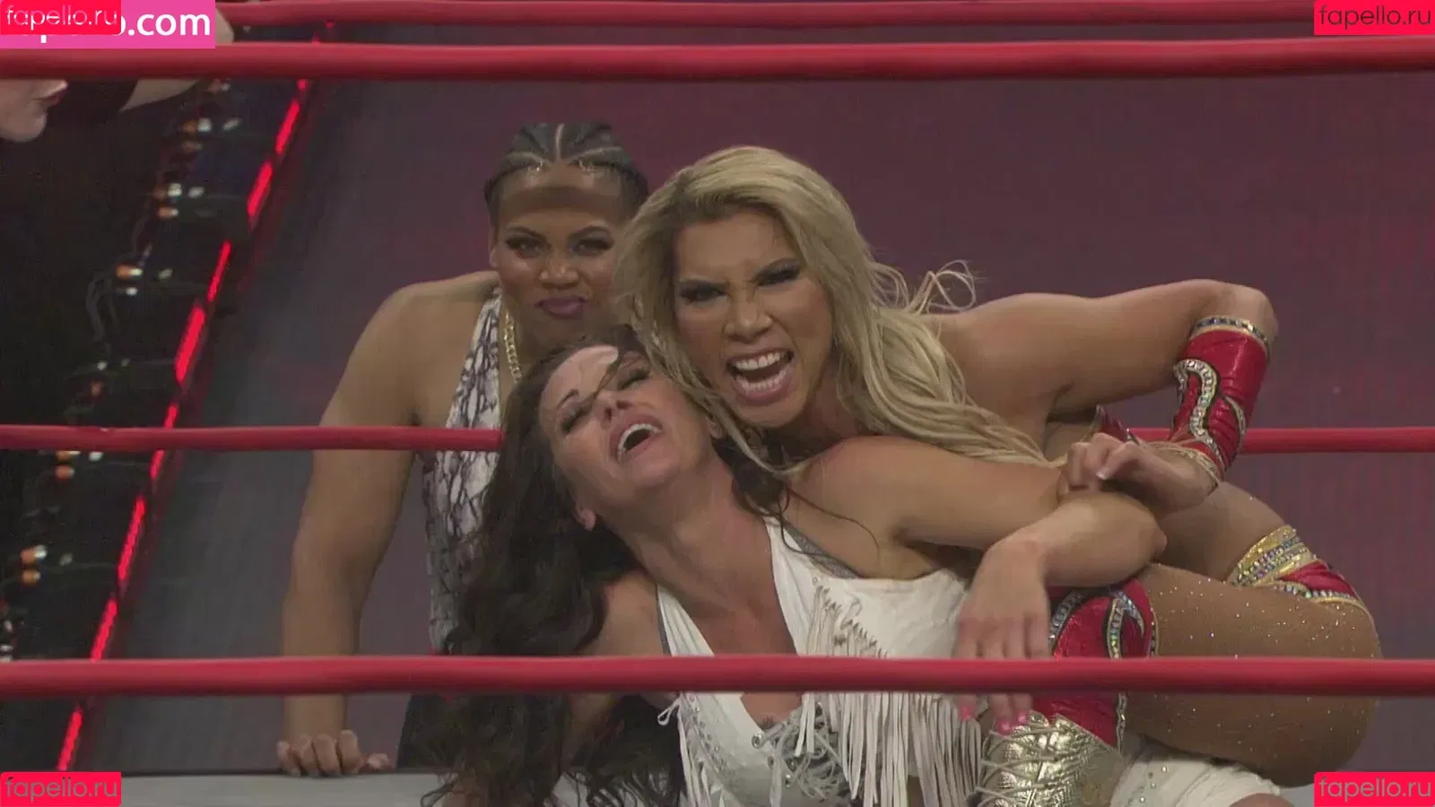 Mickie James / michelejames / themickiejames Onlyfans Photo Gallery 
