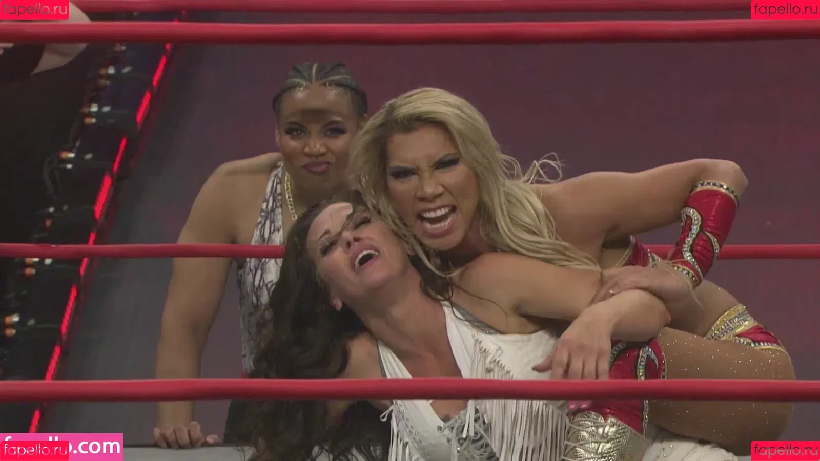 Mickie James / michelejames / themickiejames Onlyfans Photo Gallery 
