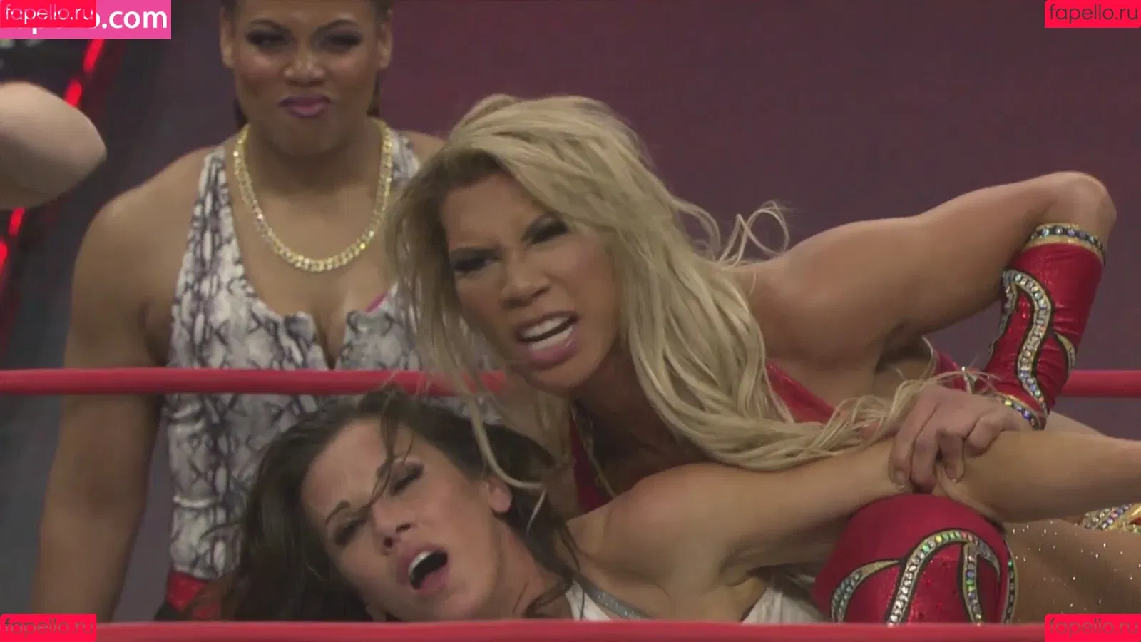 Mickie James / michelejames / themickiejames Onlyfans Photo Gallery 