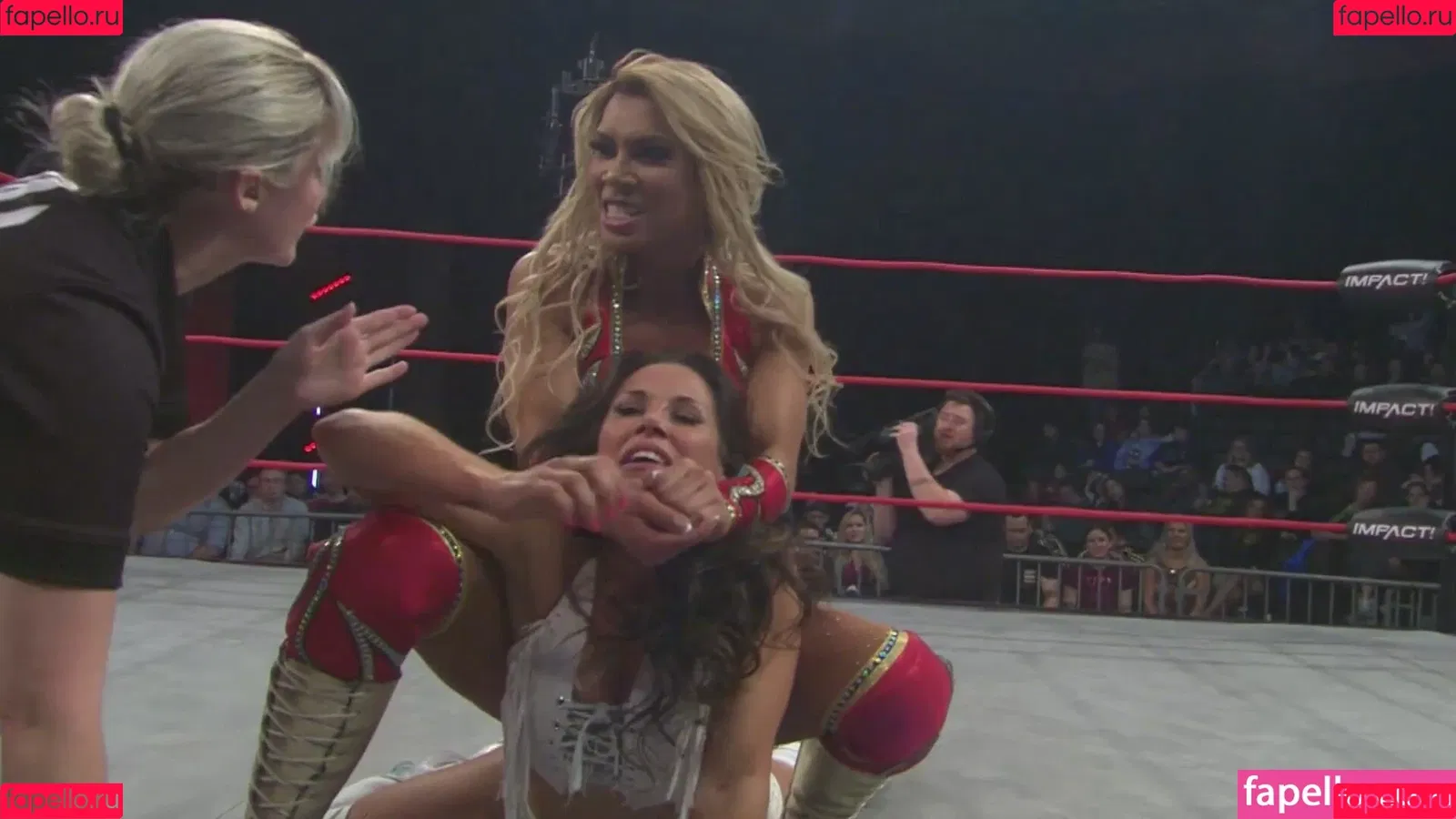 Mickie James / michelejames / themickiejames Onlyfans Photo Gallery 