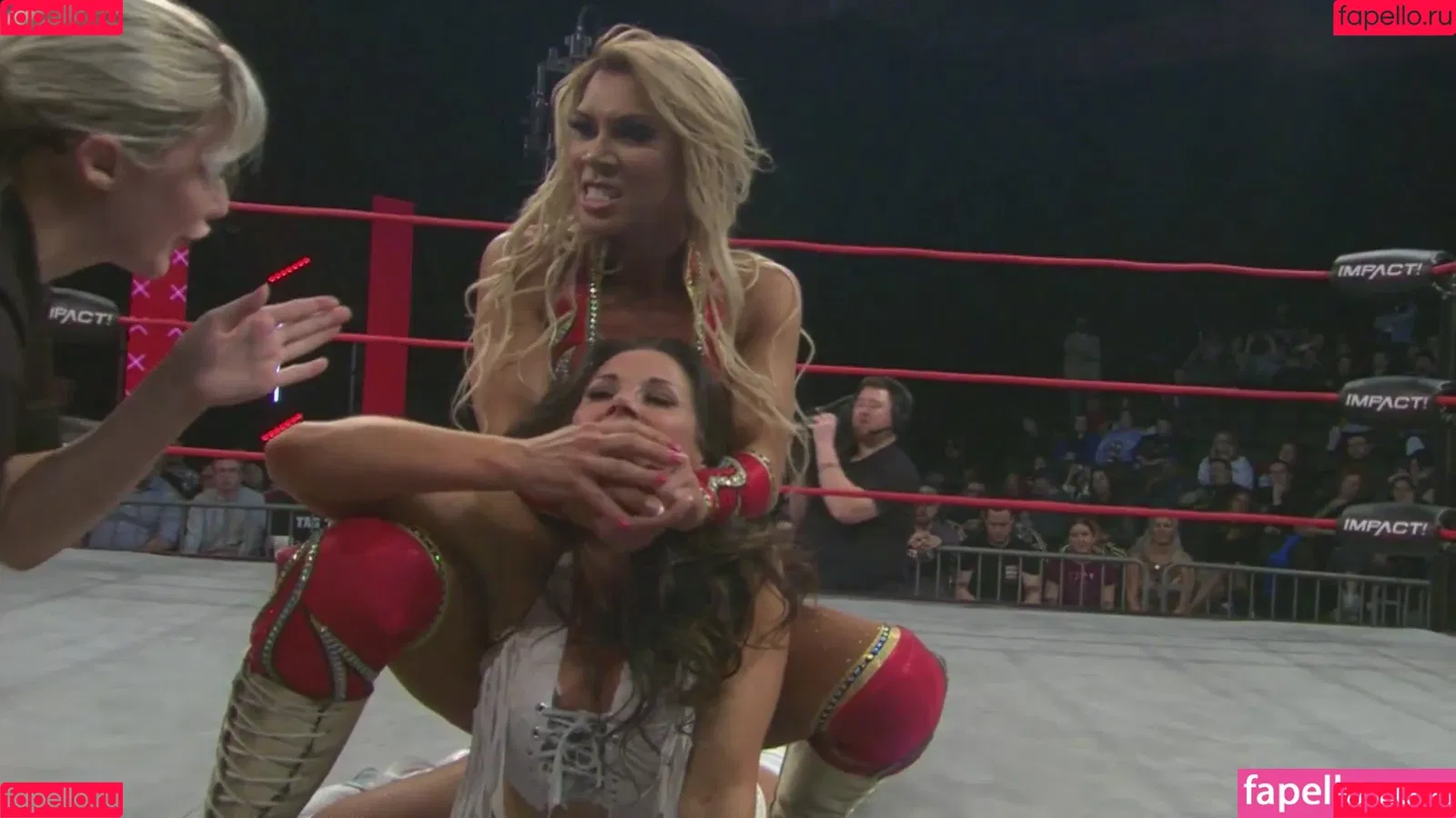 Mickie James / michelejames / themickiejames Onlyfans Photo Gallery 