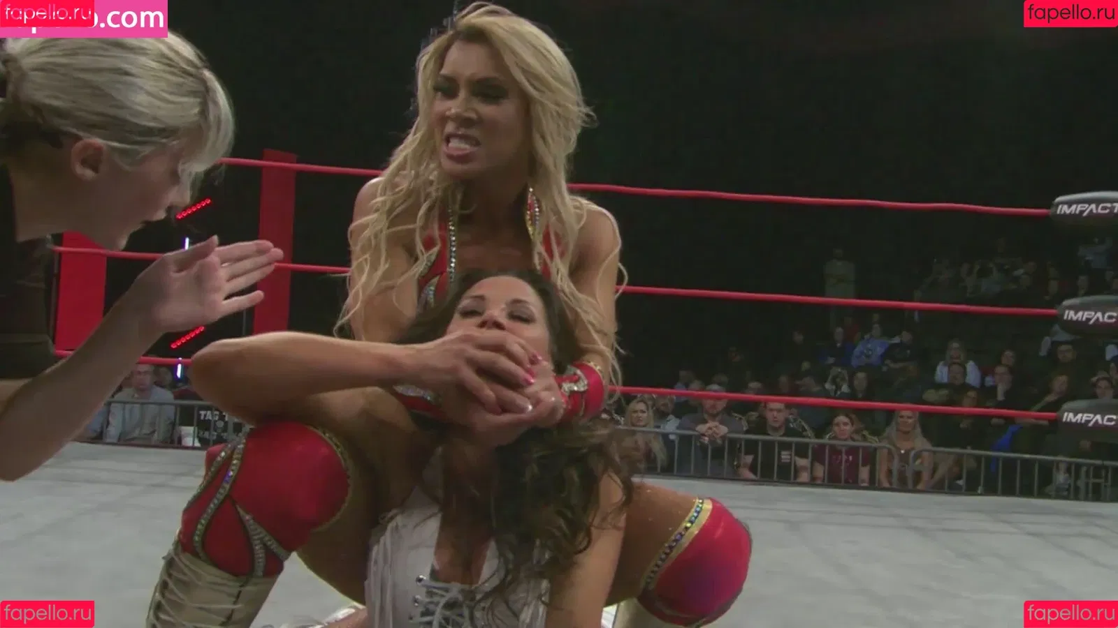 Mickie James / michelejames / themickiejames Onlyfans Photo Gallery 