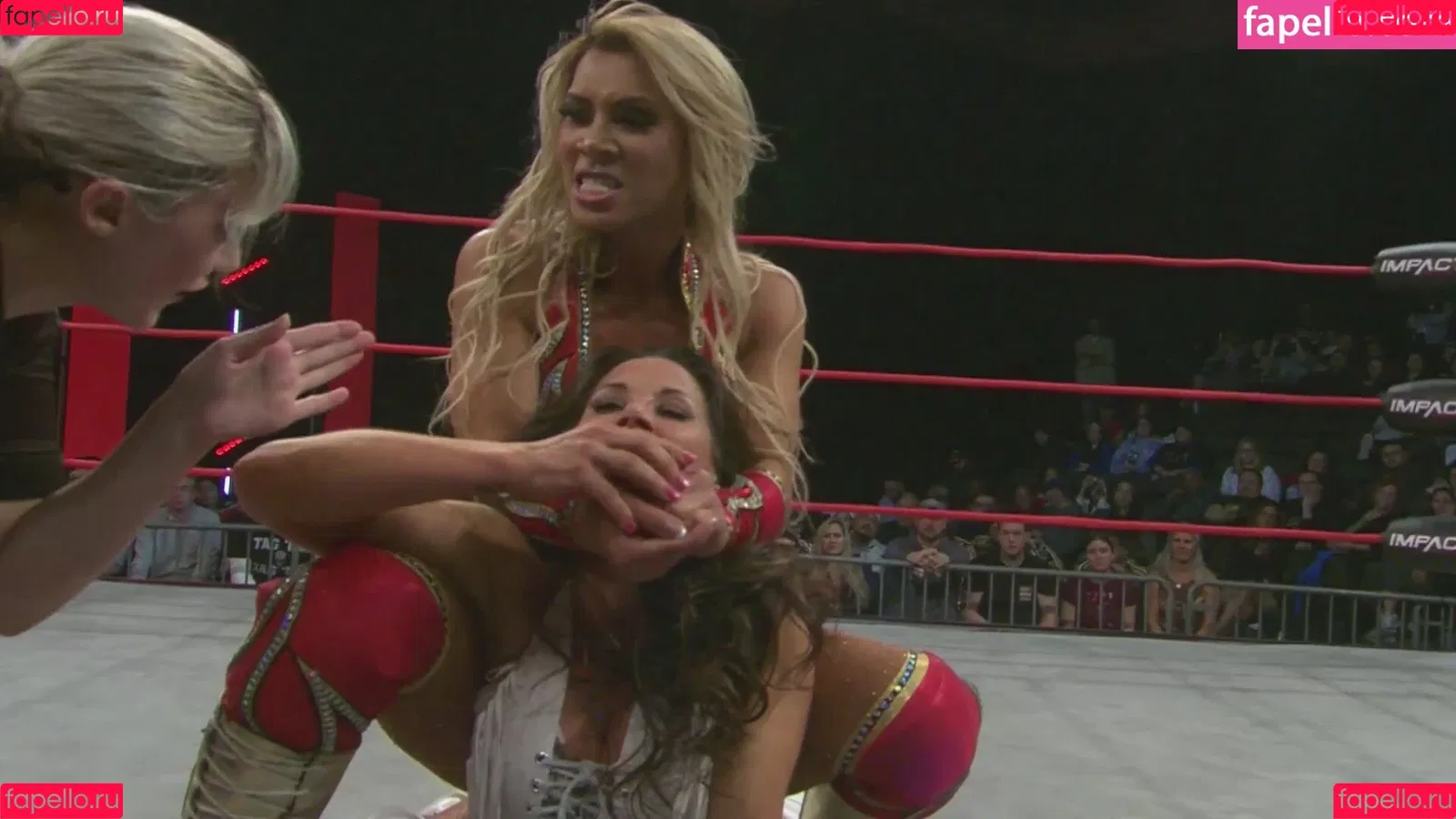 Mickie James / michelejames / themickiejames Onlyfans Photo Gallery 