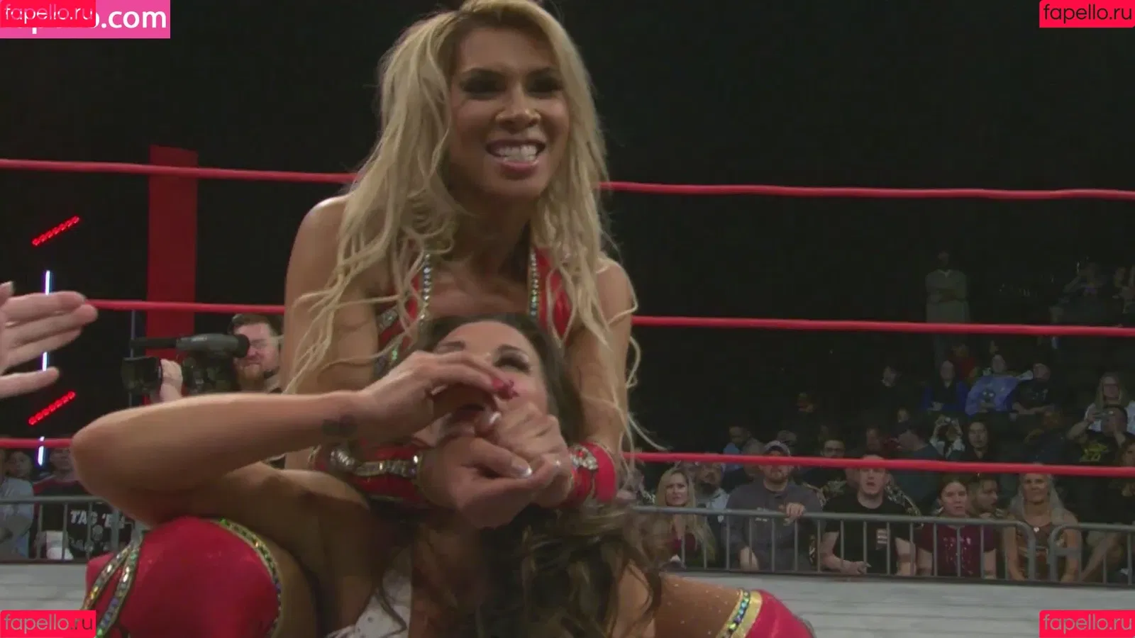 Mickie James / michelejames / themickiejames Onlyfans Photo Gallery 