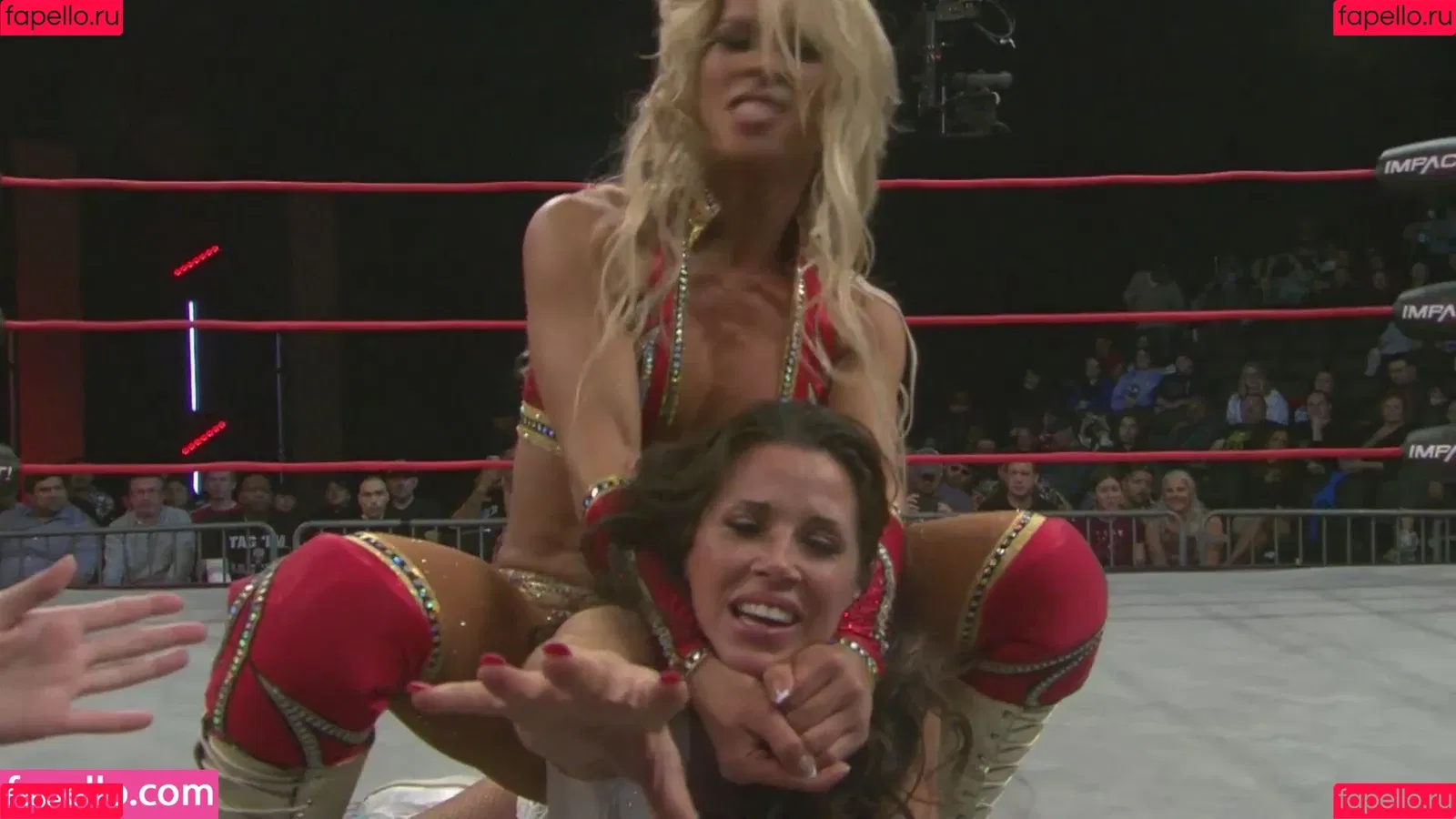 Mickie James / michelejames / themickiejames Onlyfans Photo Gallery 