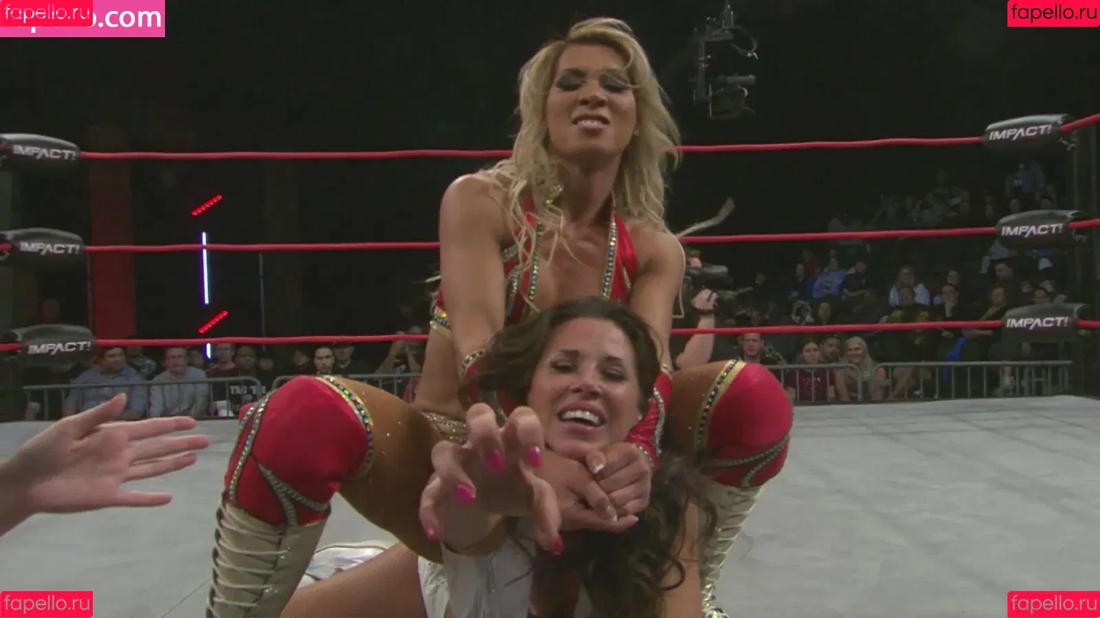 Mickie James / michelejames / themickiejames Onlyfans Photo Gallery 
