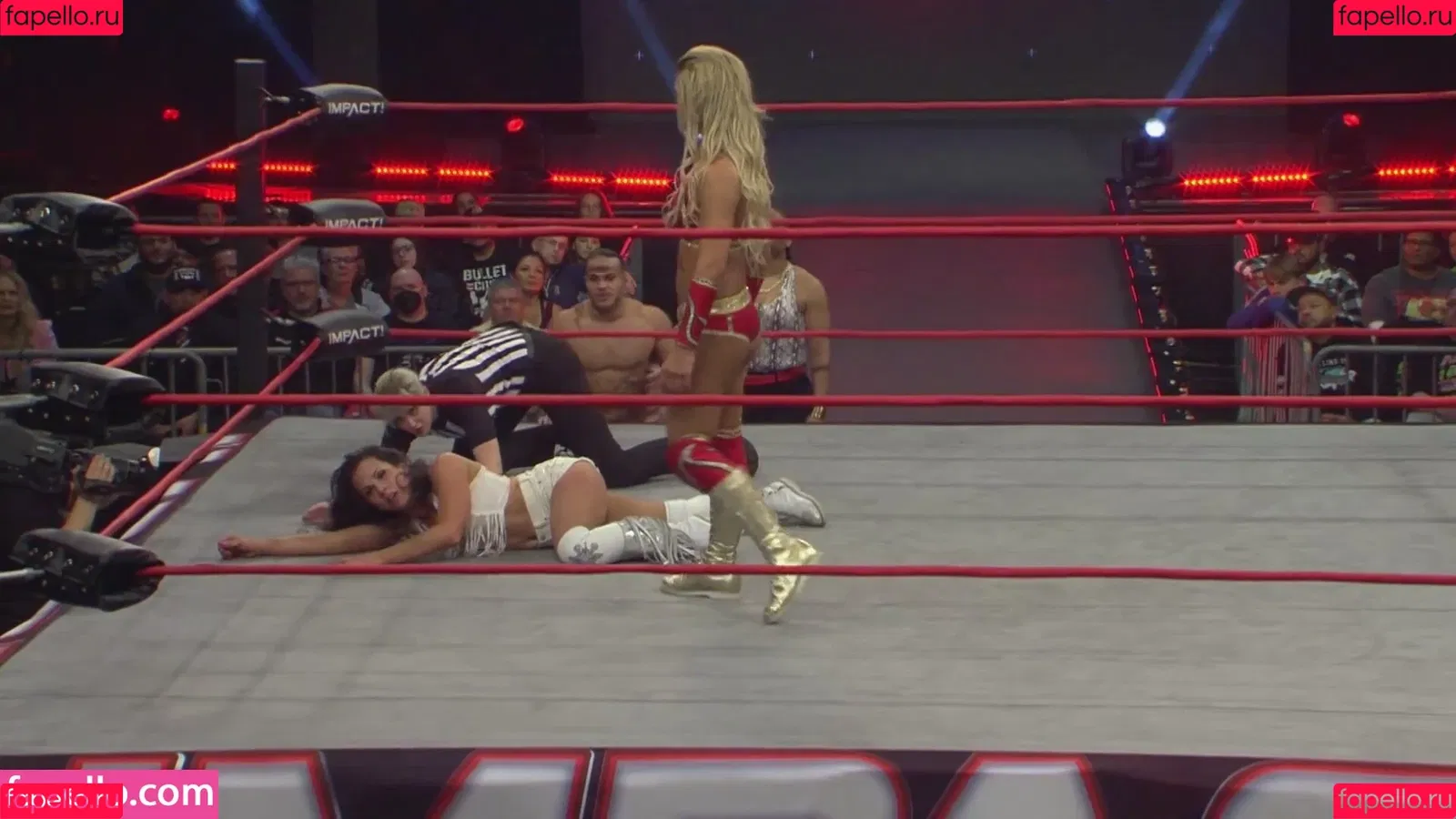 Mickie James / michelejames / themickiejames Onlyfans Photo Gallery 