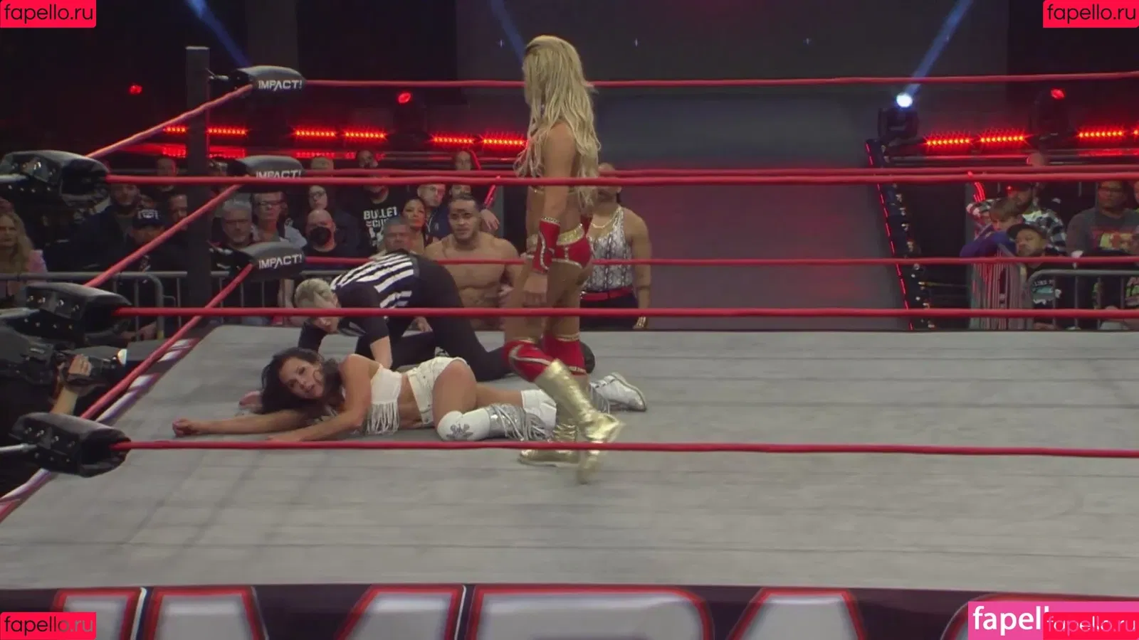 Mickie James / michelejames / themickiejames Onlyfans Photo Gallery 