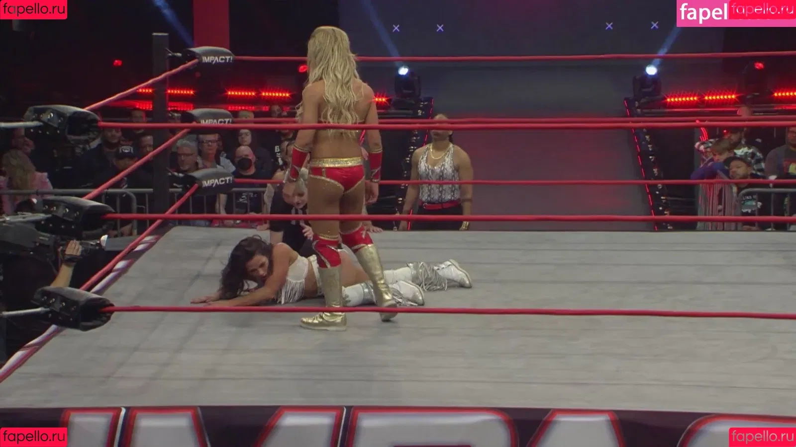 Mickie James / michelejames / themickiejames Onlyfans Photo Gallery 