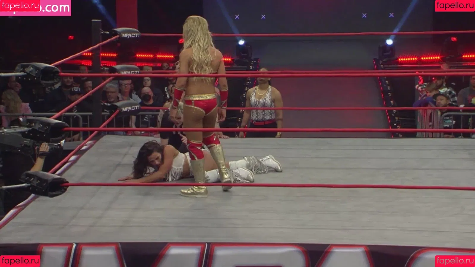 Mickie James / michelejames / themickiejames Onlyfans Photo Gallery 