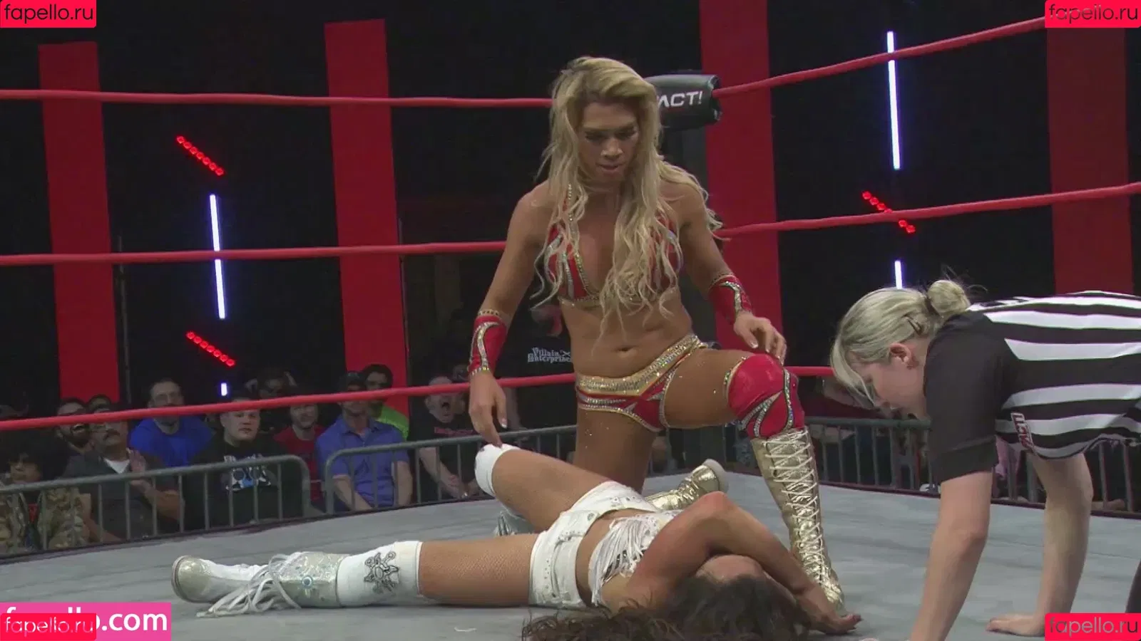 Mickie James / michelejames / themickiejames Onlyfans Photo Gallery 