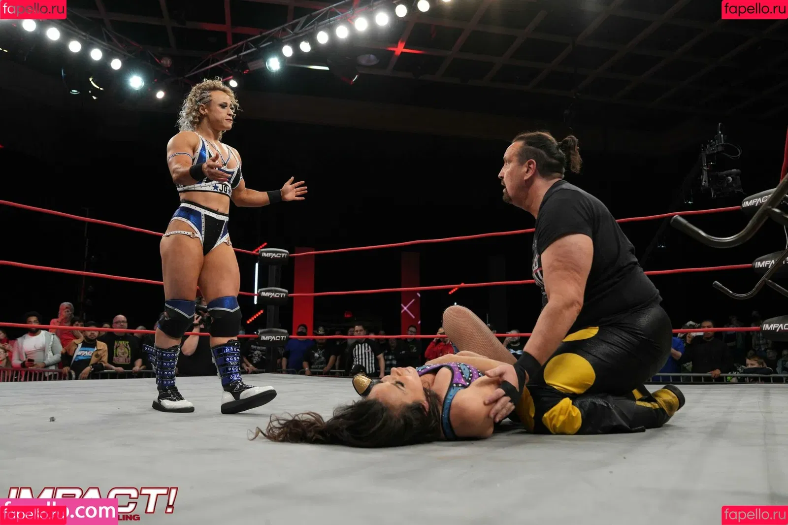 Mickie James / michelejames / themickiejames Onlyfans Photo Gallery 