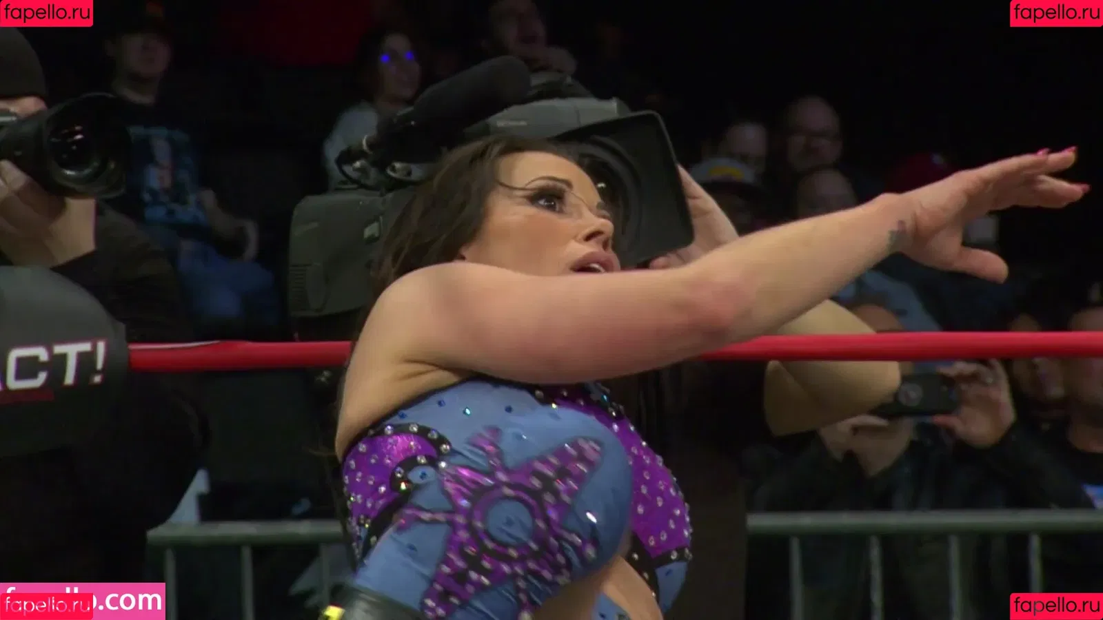 Mickie James / michelejames / themickiejames Onlyfans Photo Gallery 