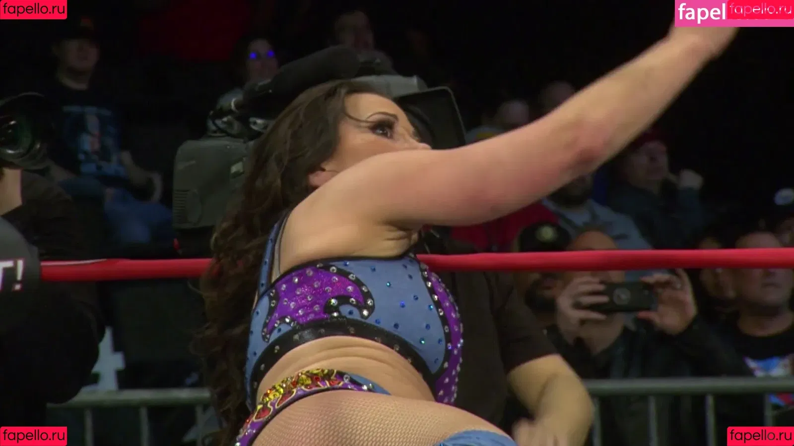 Mickie James / michelejames / themickiejames Onlyfans Photo Gallery 