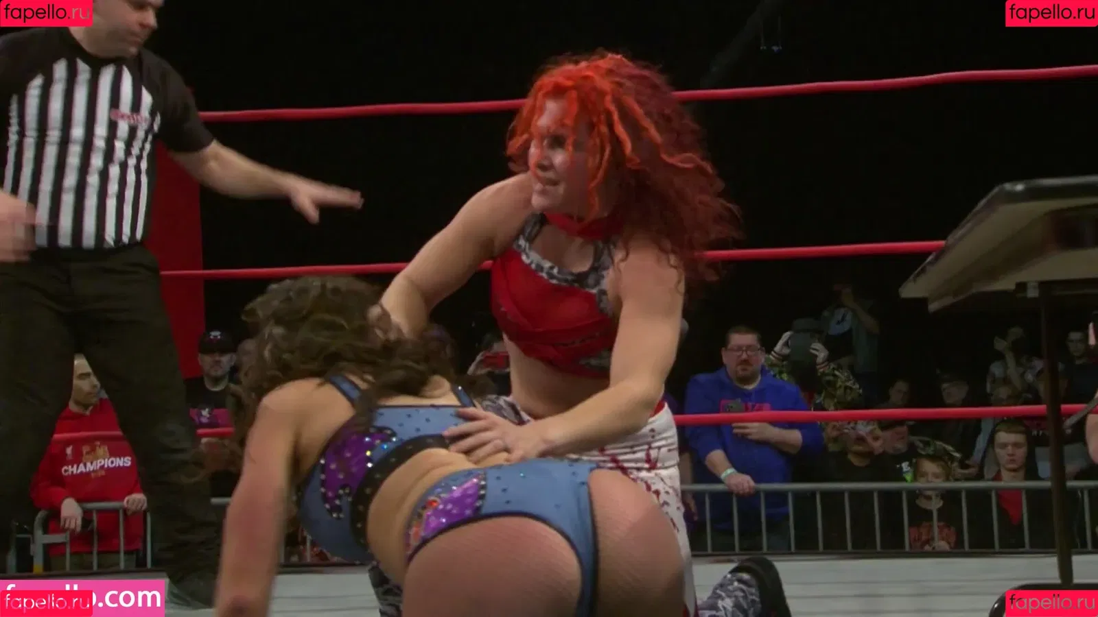 Mickie James / michelejames / themickiejames Onlyfans Photo Gallery 