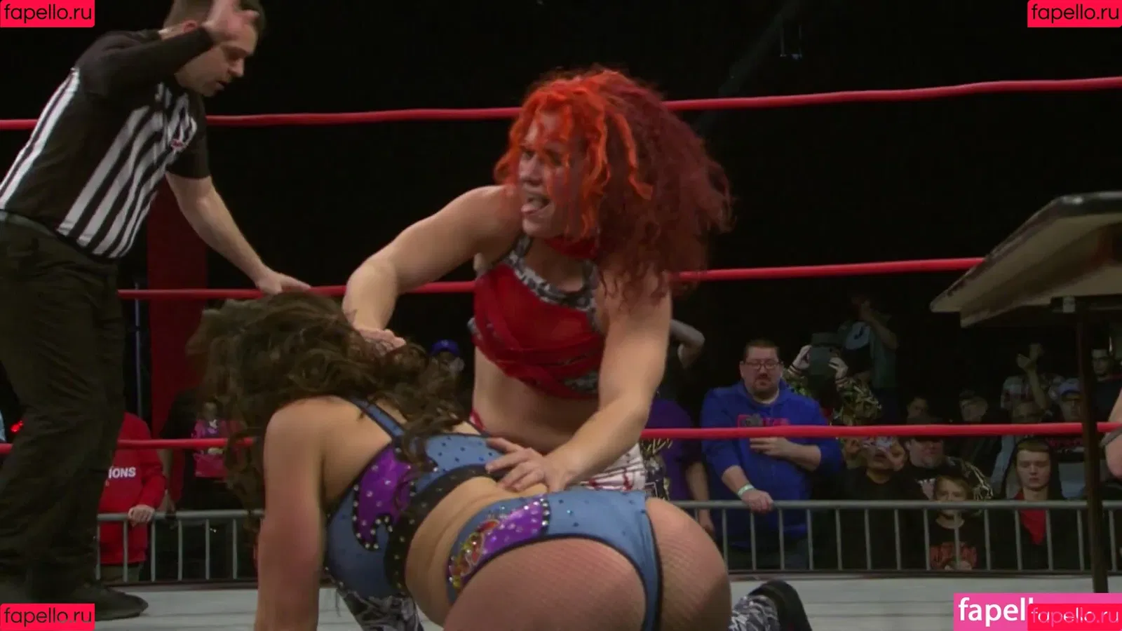 Mickie James / michelejames / themickiejames Onlyfans Photo Gallery 