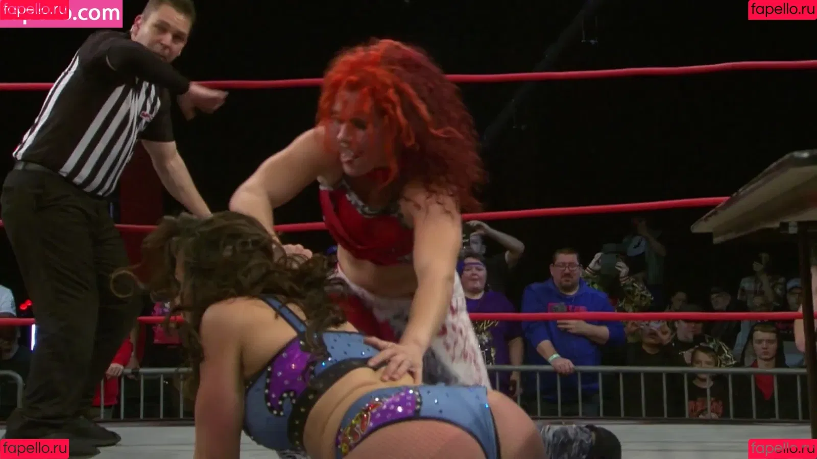 Mickie James / michelejames / themickiejames Onlyfans Photo Gallery 