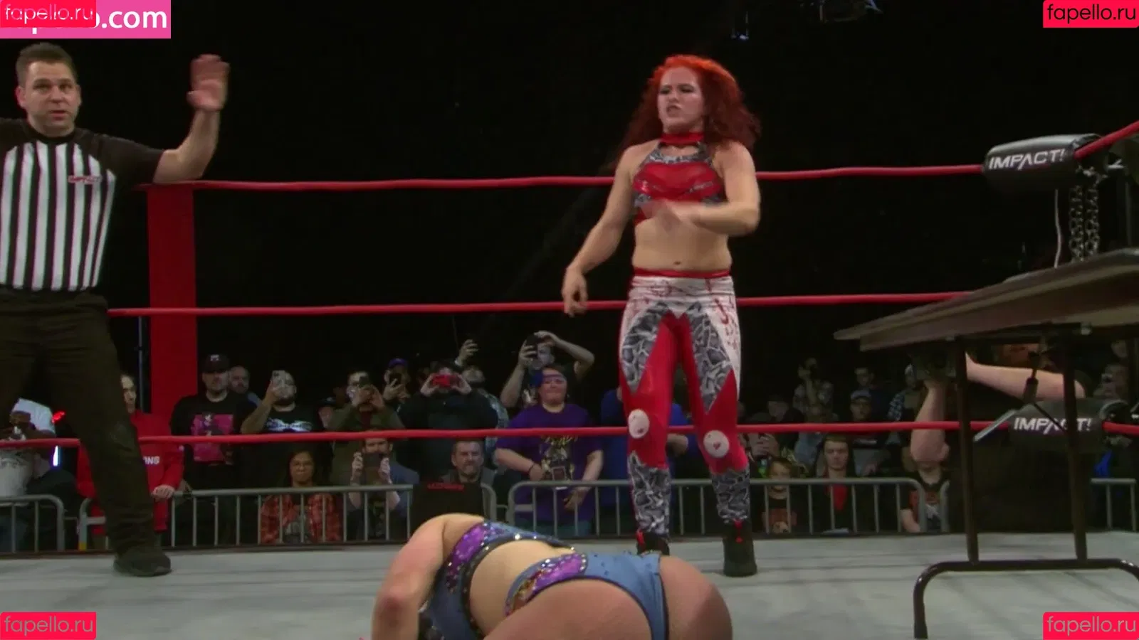 Mickie James / michelejames / themickiejames Onlyfans Photo Gallery 