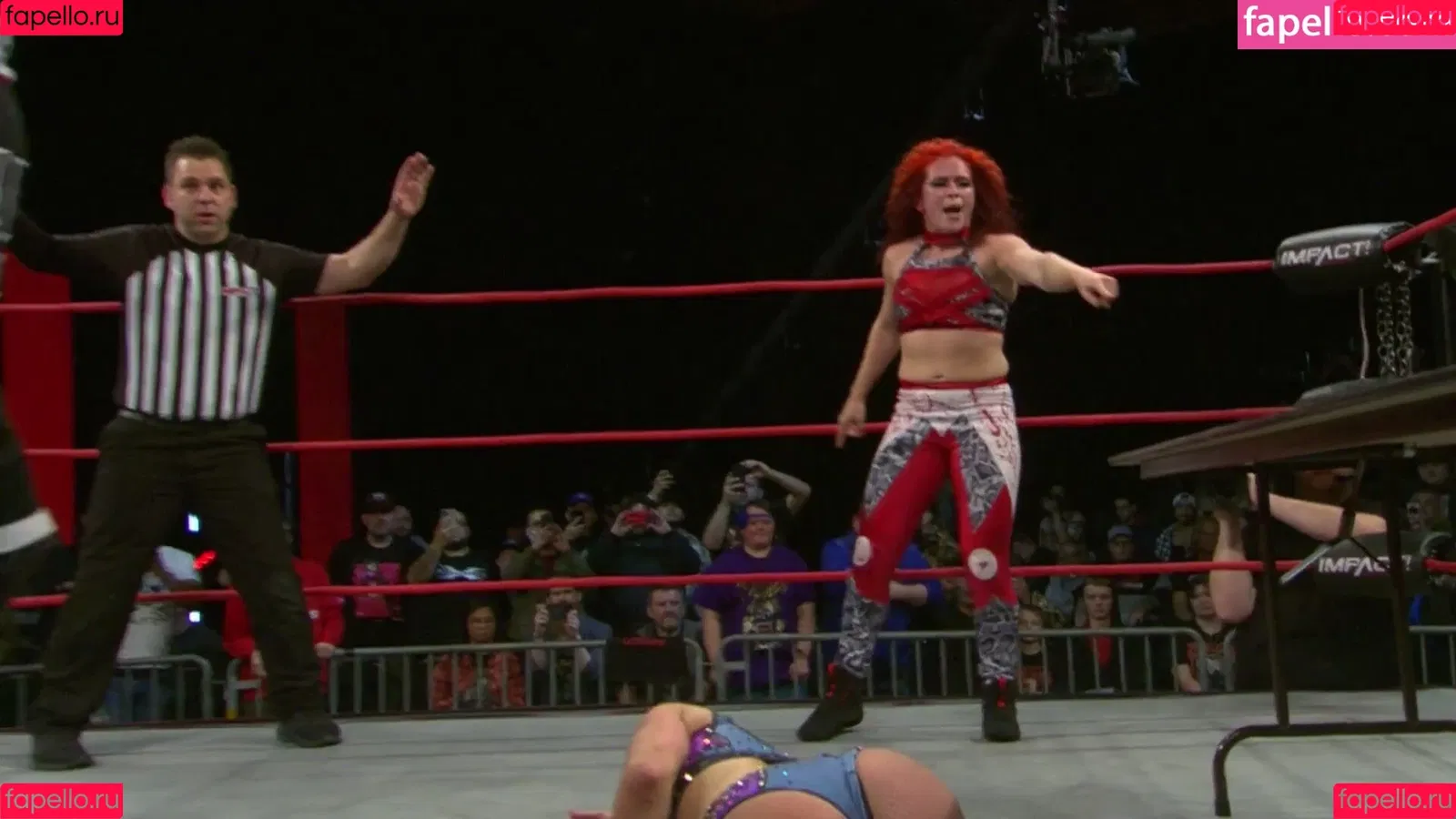 Mickie James / michelejames / themickiejames Onlyfans Photo Gallery 