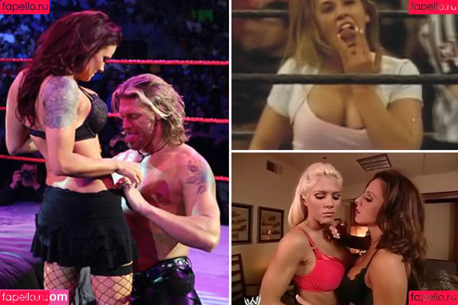 Mickie James / michelejames / themickiejames Onlyfans Photo Gallery 