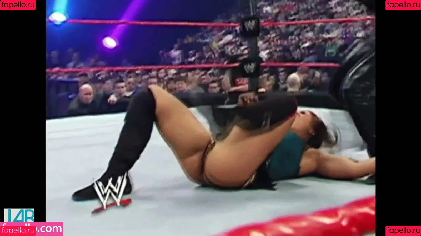 Mickie James / michelejames / themickiejames Onlyfans Photo Gallery 