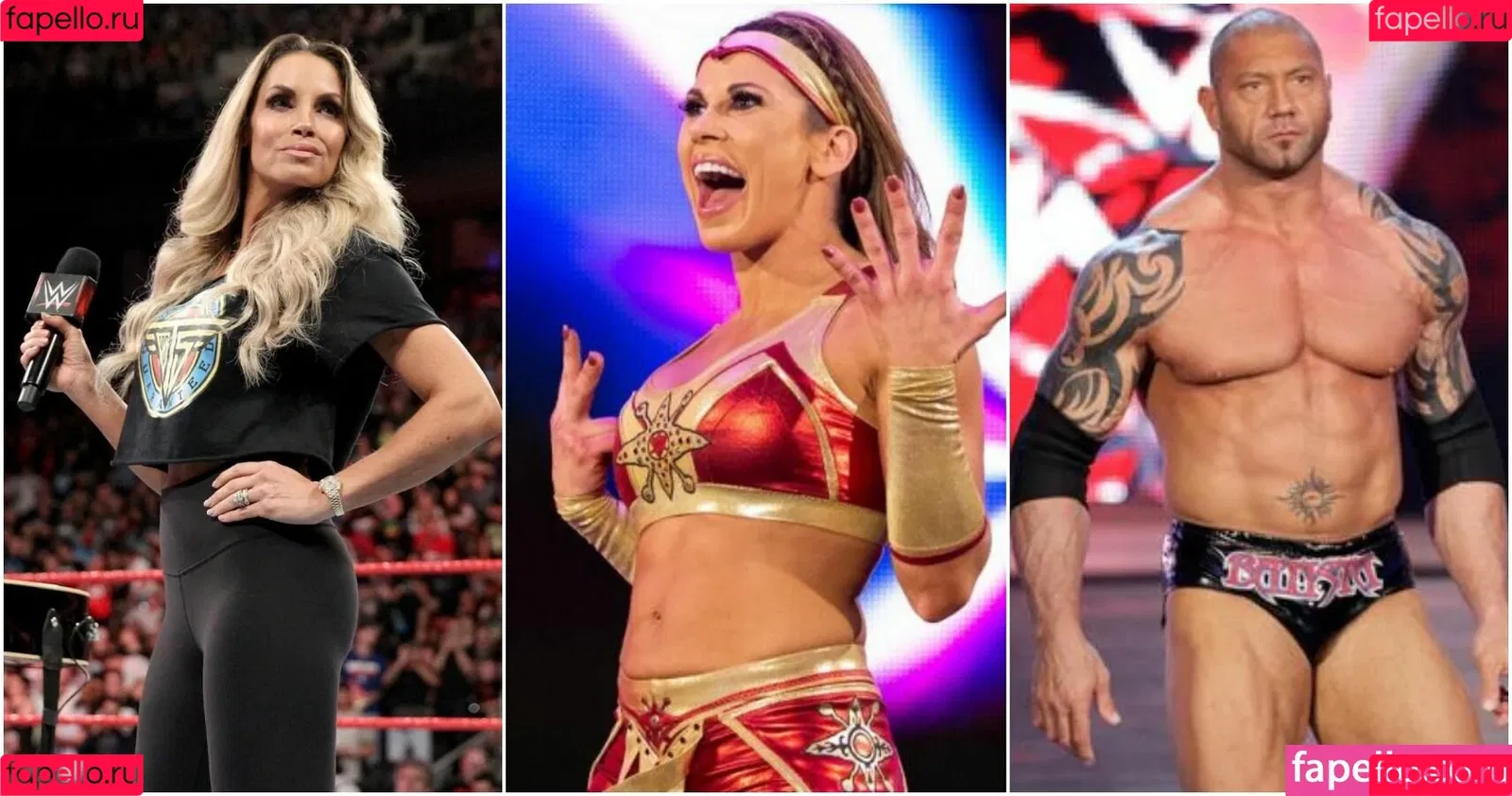 Mickie James / michelejames / themickiejames Onlyfans Photo Gallery 