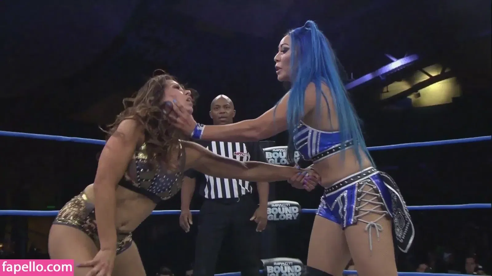 Mickie James / michelejames / themickiejames Onlyfans Photo Gallery 