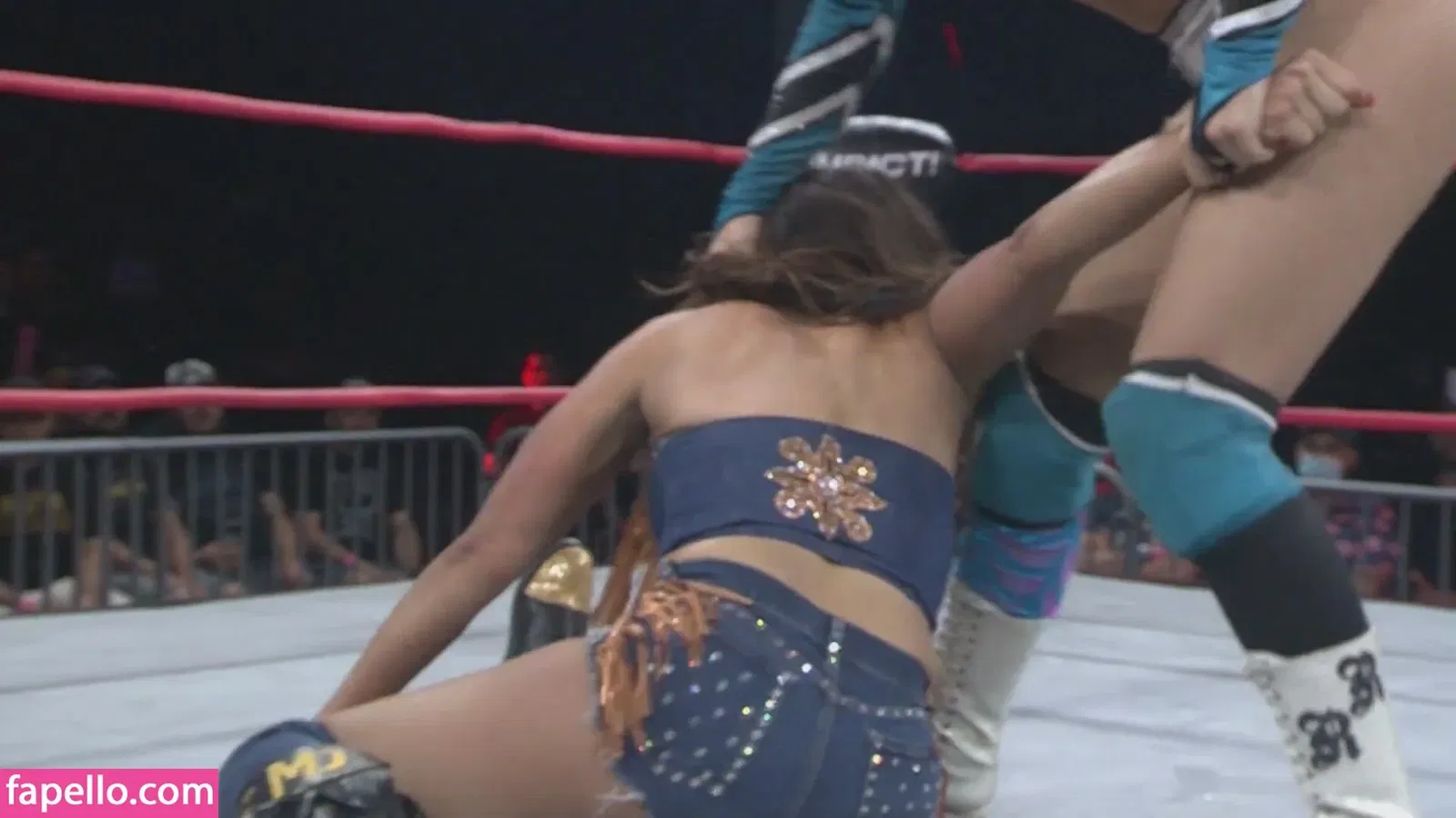 Mickie James / michelejames / themickiejames Onlyfans Photo Gallery 