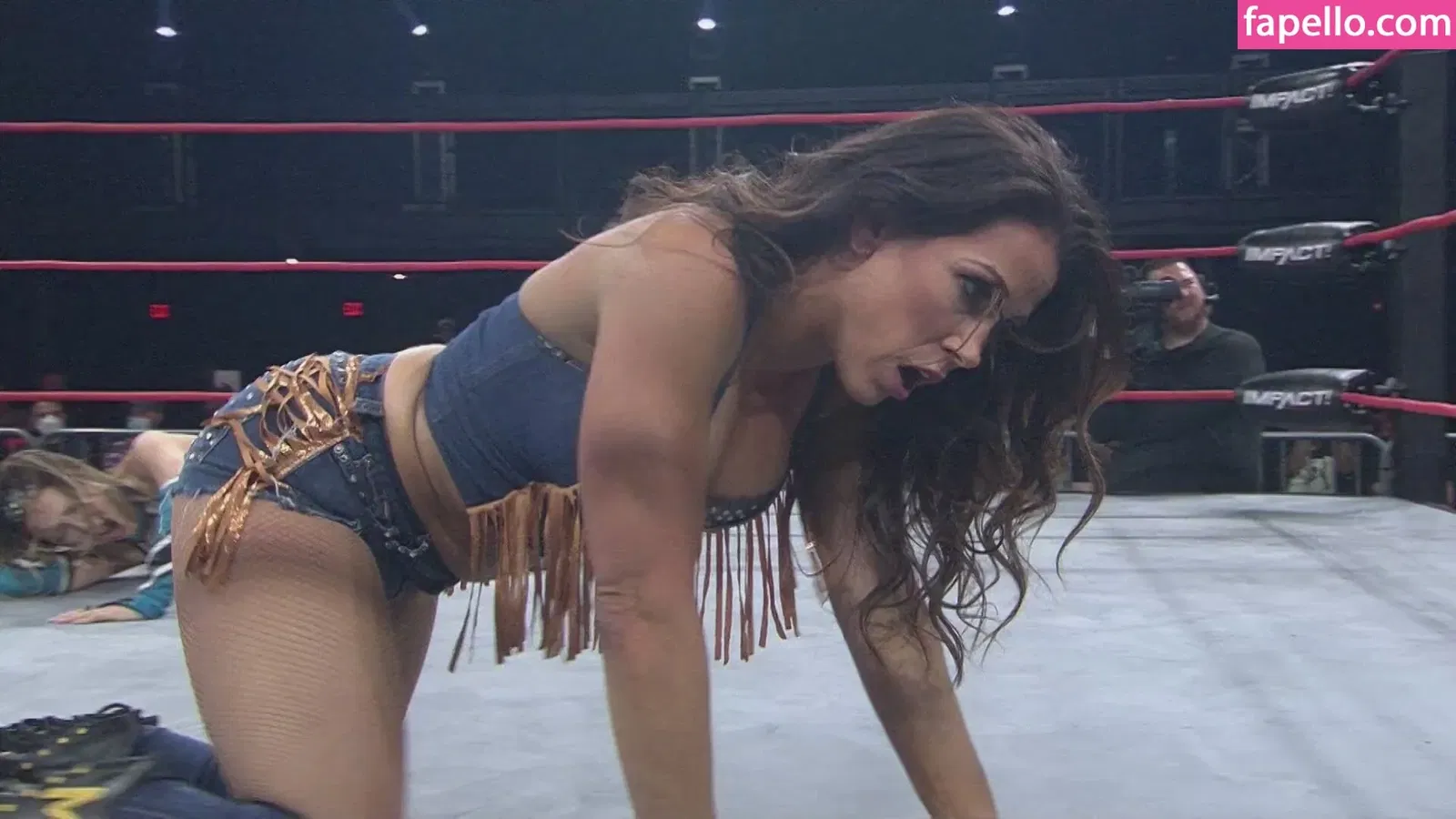 Mickie James / michelejames / themickiejames Onlyfans Photo Gallery 