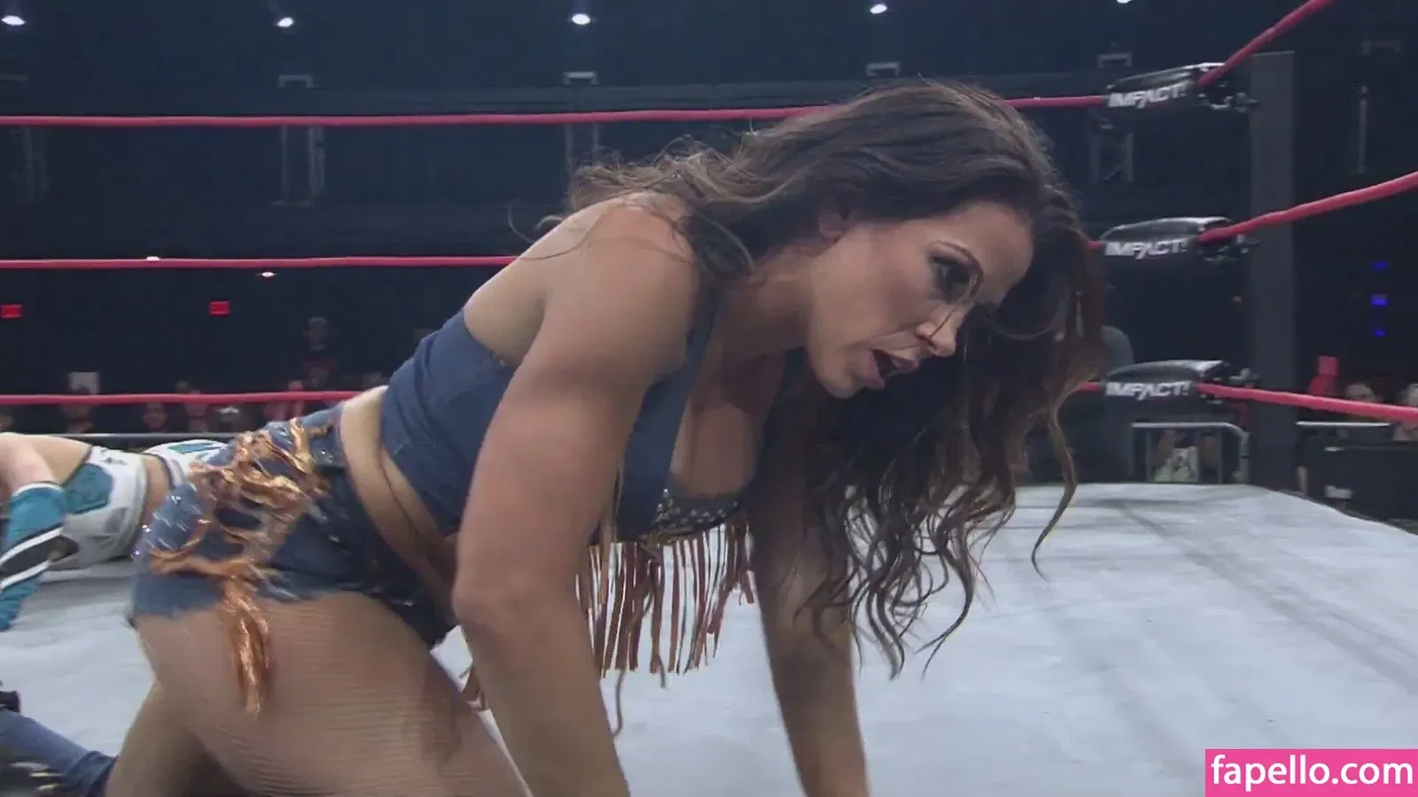 Mickie James / michelejames / themickiejames Onlyfans Photo Gallery 