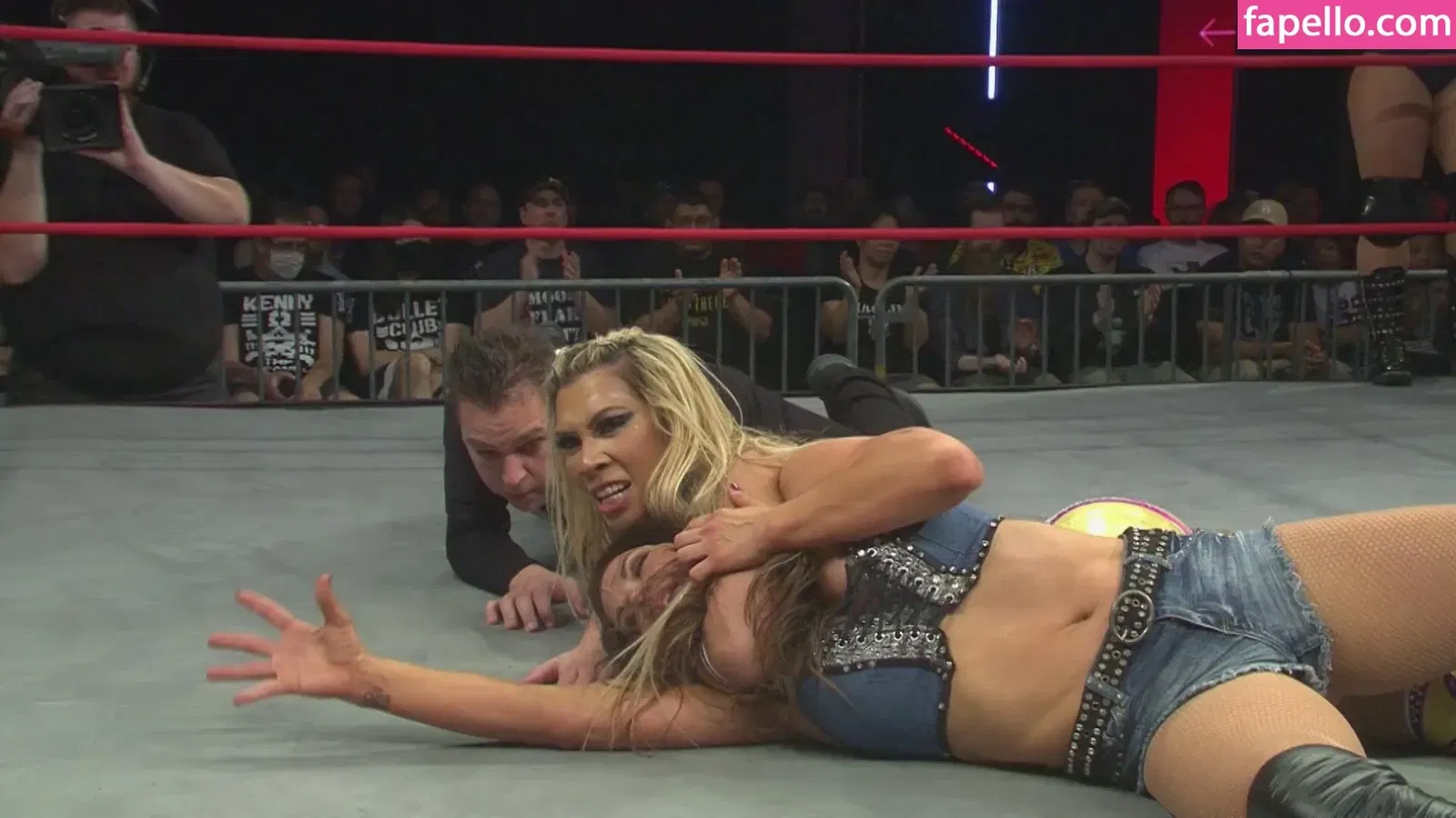 Mickie James / michelejames / themickiejames Onlyfans Photo Gallery 