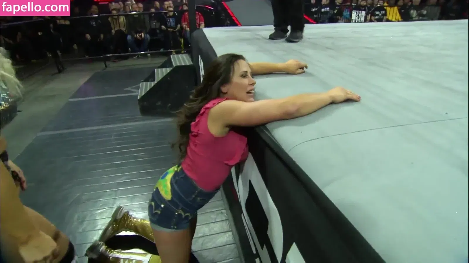 Mickie James / michelejames / themickiejames Onlyfans Photo Gallery 