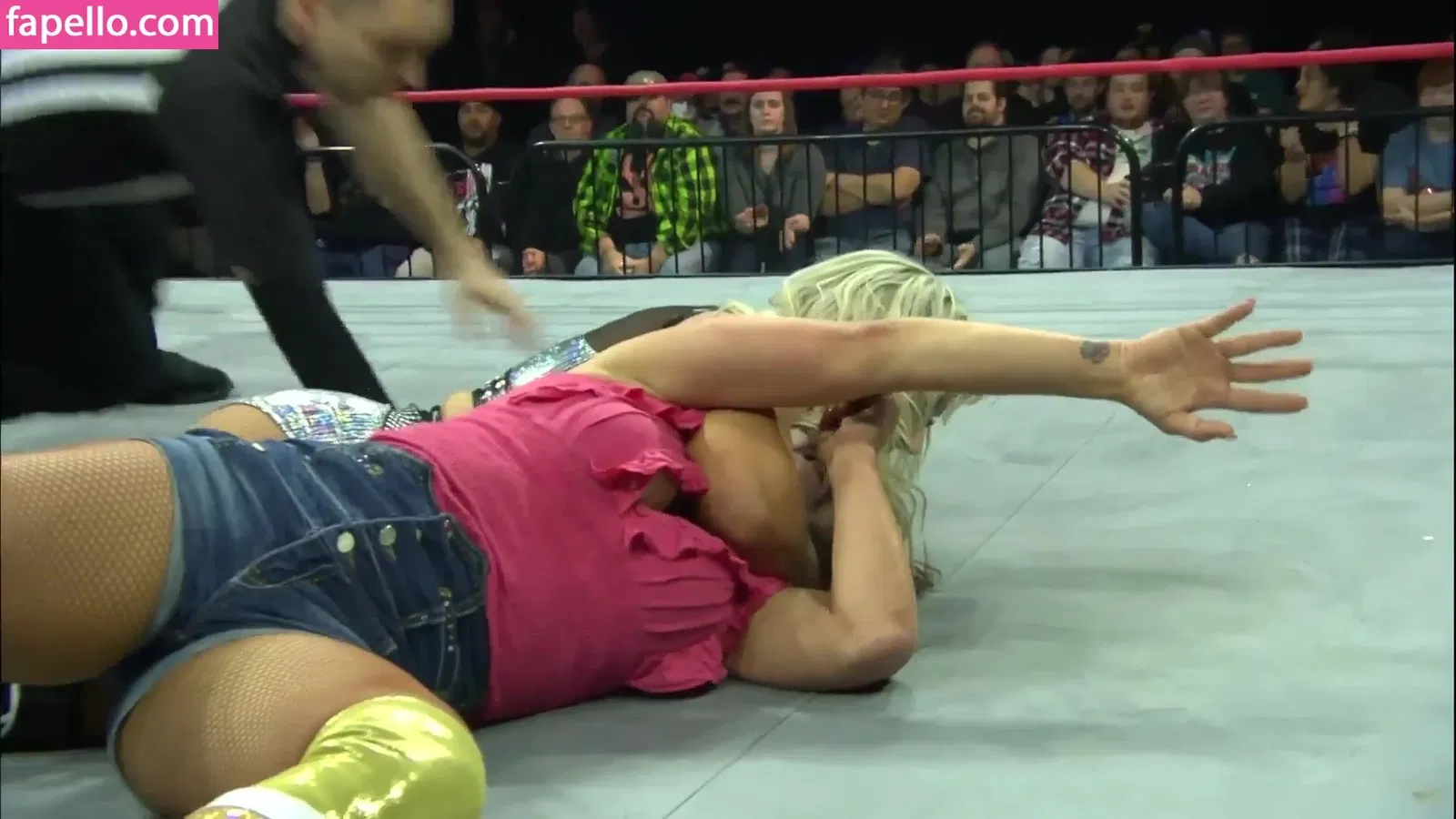 Mickie James / michelejames / themickiejames Onlyfans Photo Gallery 