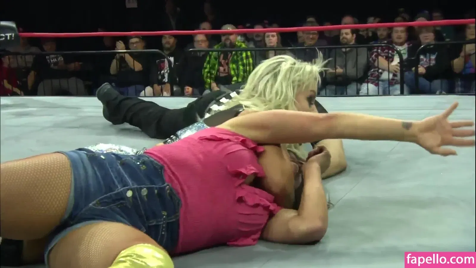 Mickie James / michelejames / themickiejames Onlyfans Photo Gallery 