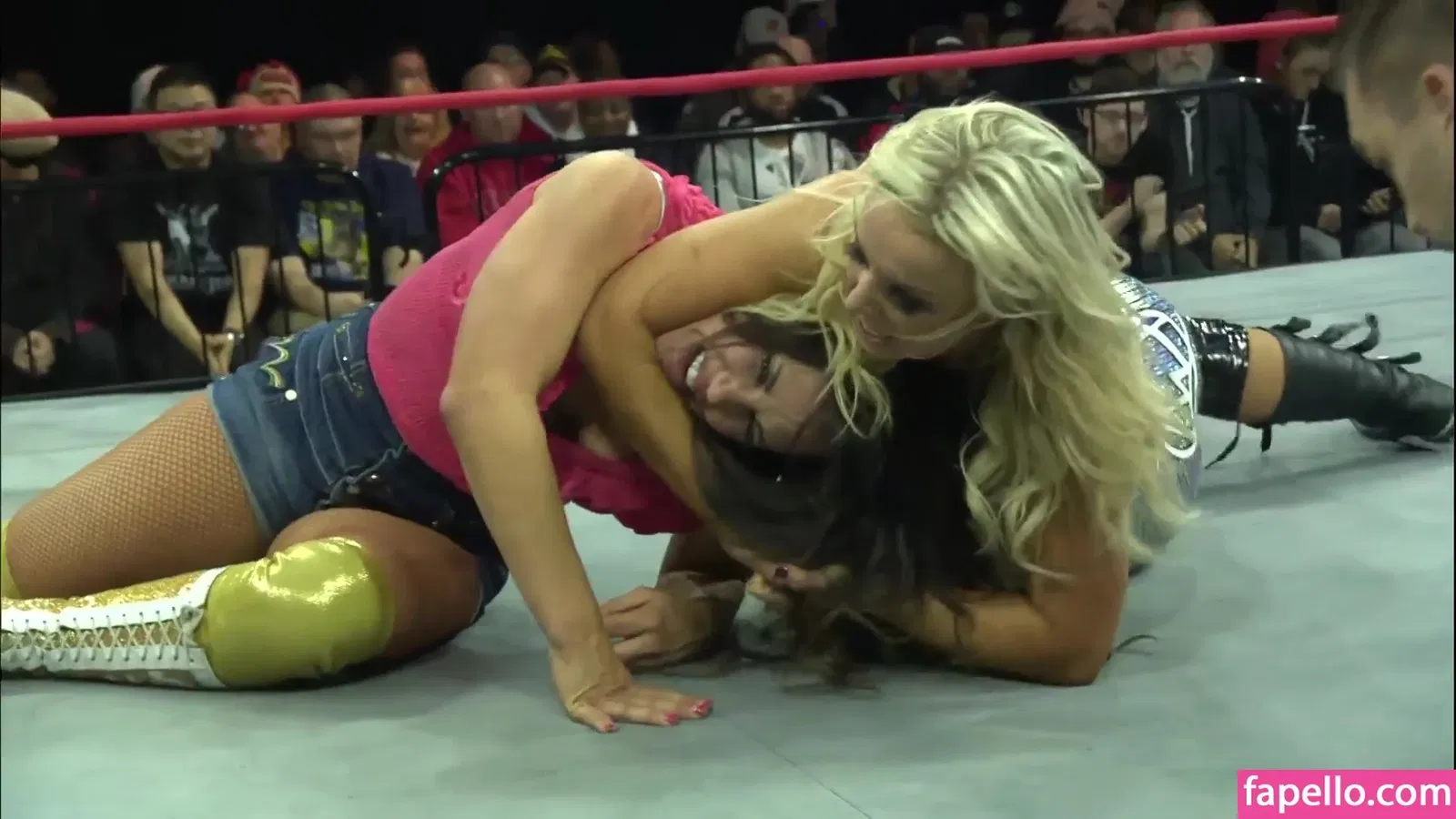 Mickie James / michelejames / themickiejames Onlyfans Photo Gallery 