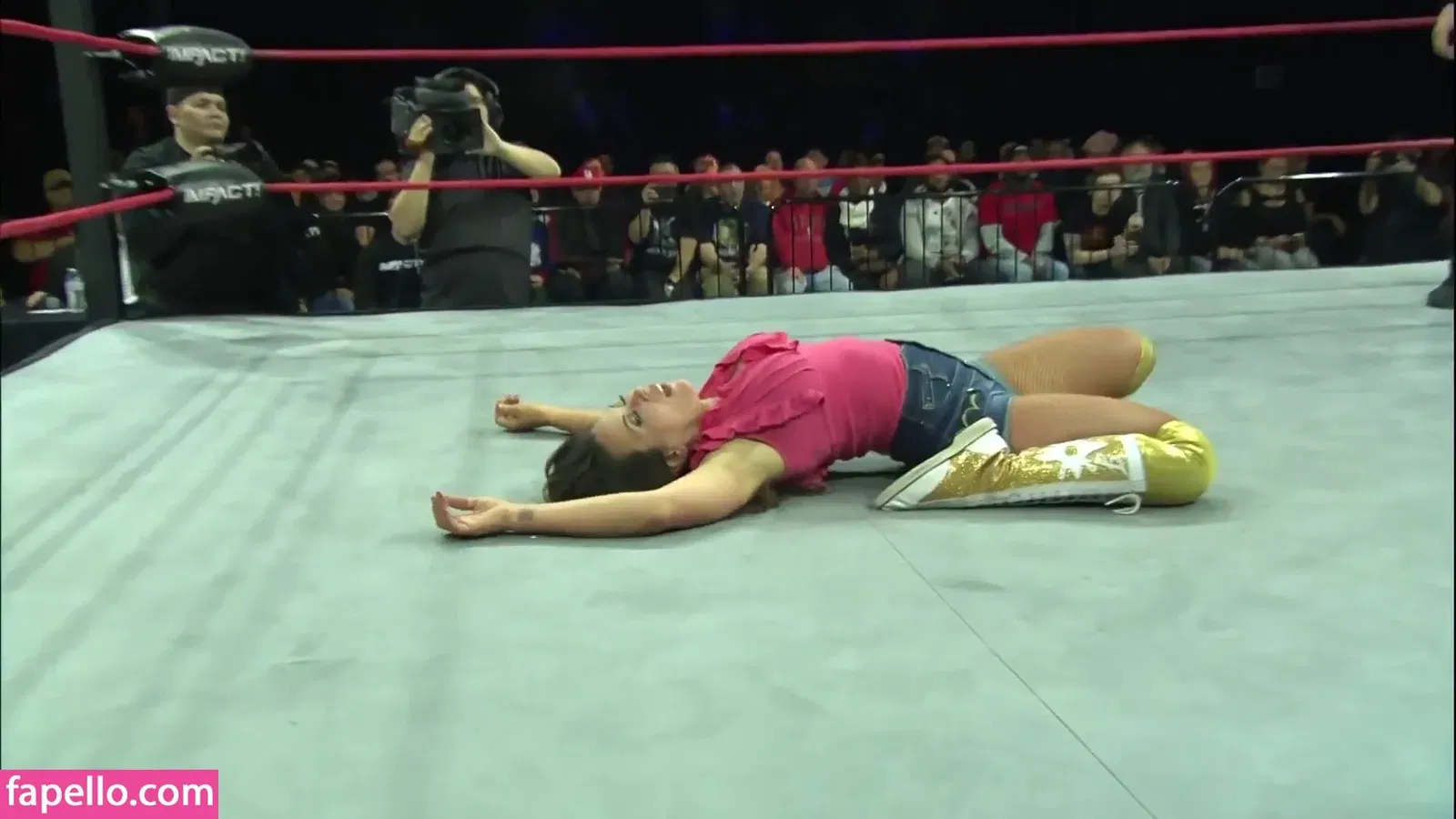 Mickie James / michelejames / themickiejames Onlyfans Photo Gallery 