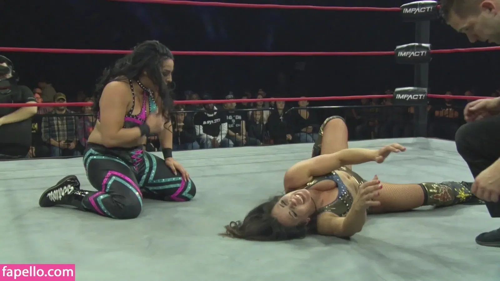 Mickie James / michelejames / themickiejames Onlyfans Photo Gallery 