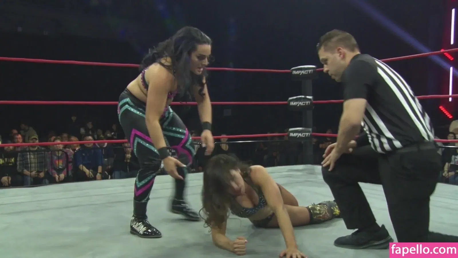 Mickie James / michelejames / themickiejames Onlyfans Photo Gallery 