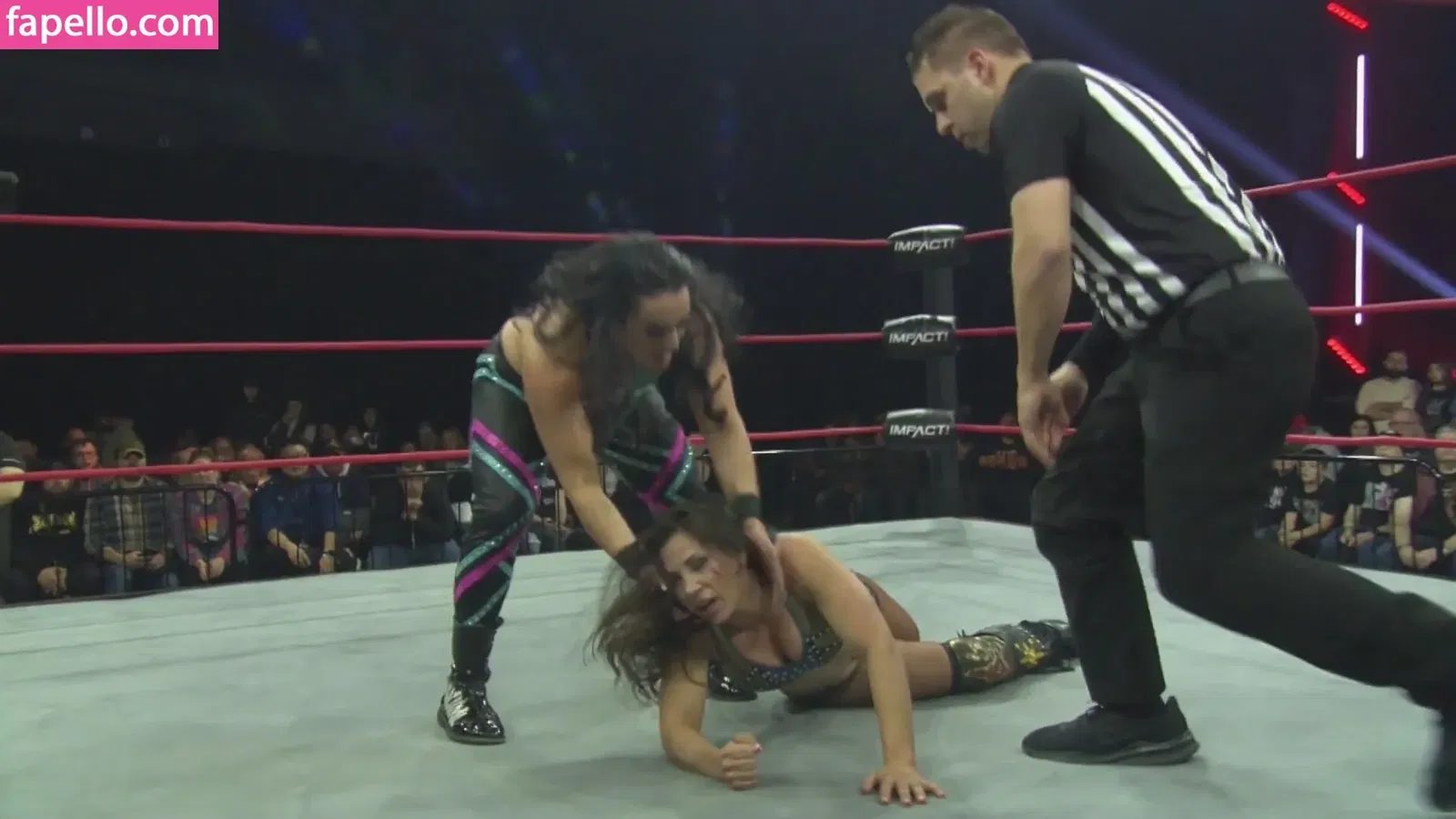 Mickie James / michelejames / themickiejames Onlyfans Photo Gallery 