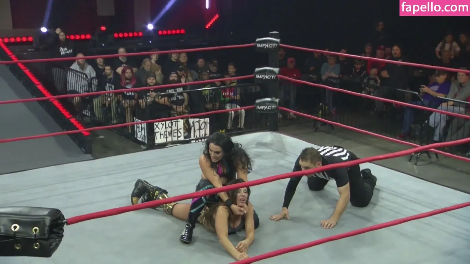 Mickie James / michelejames / themickiejames Onlyfans Photo Gallery 