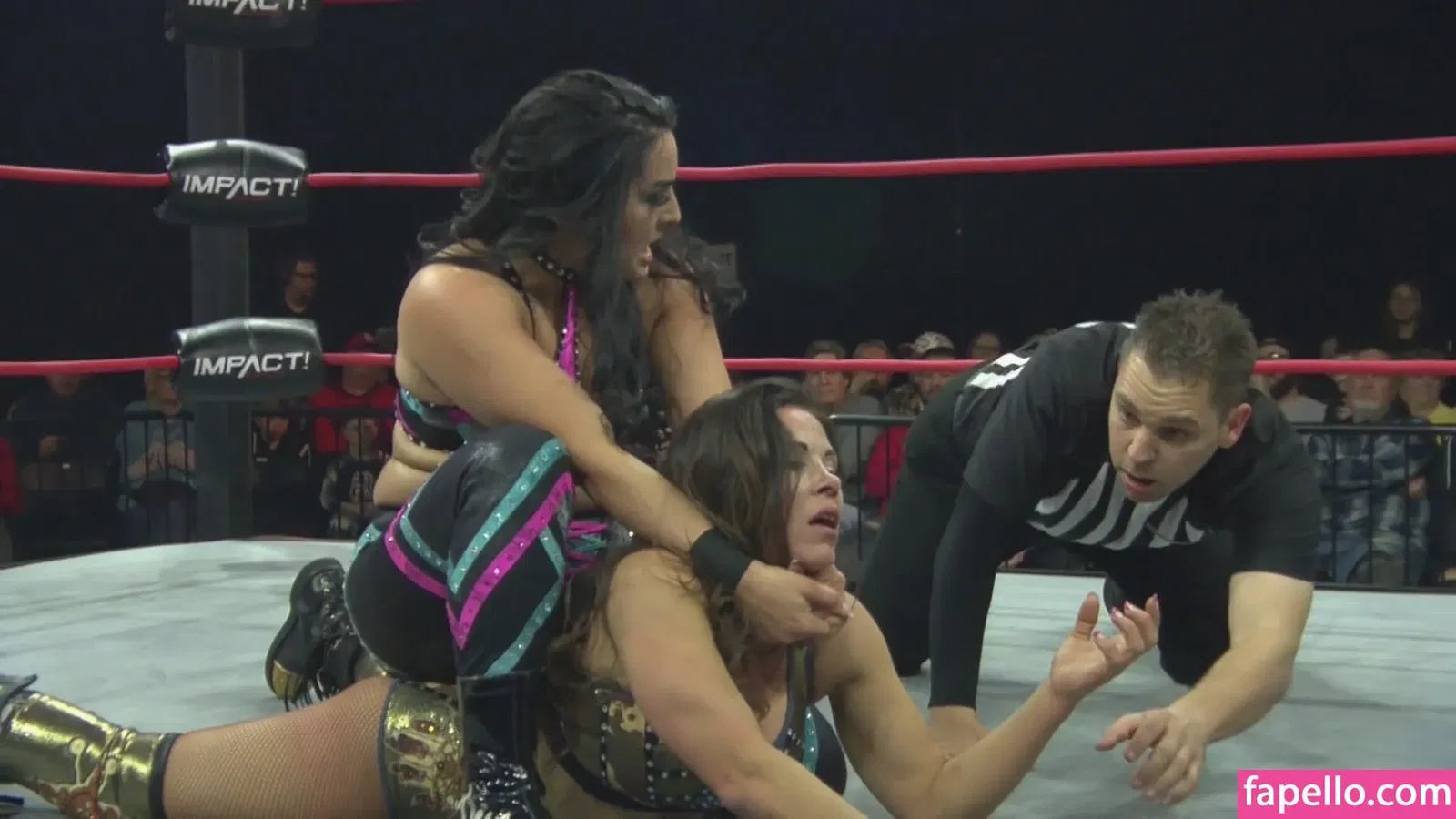 Mickie James / michelejames / themickiejames Onlyfans Photo Gallery 