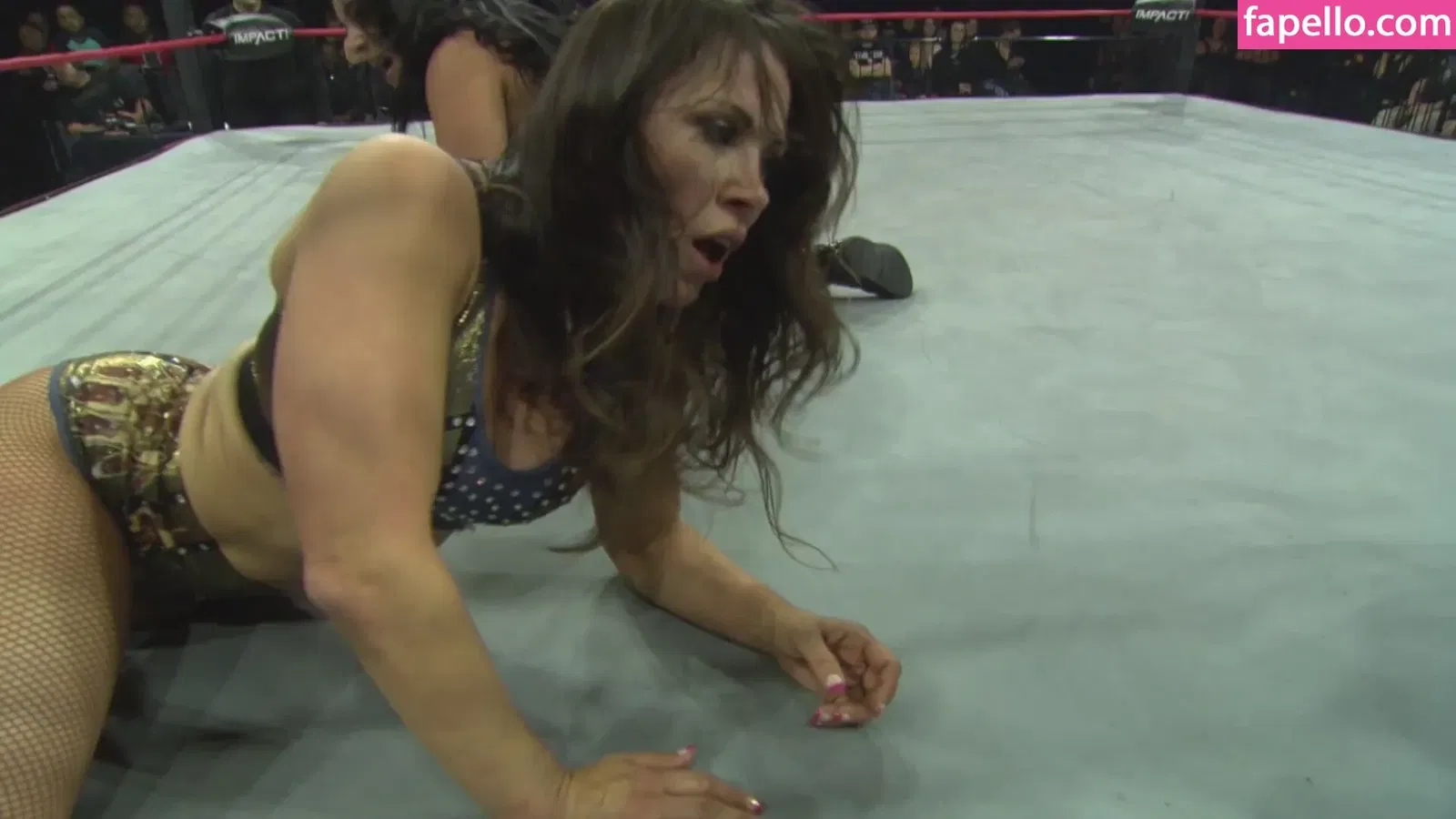 Mickie James / michelejames / themickiejames Onlyfans Photo Gallery 