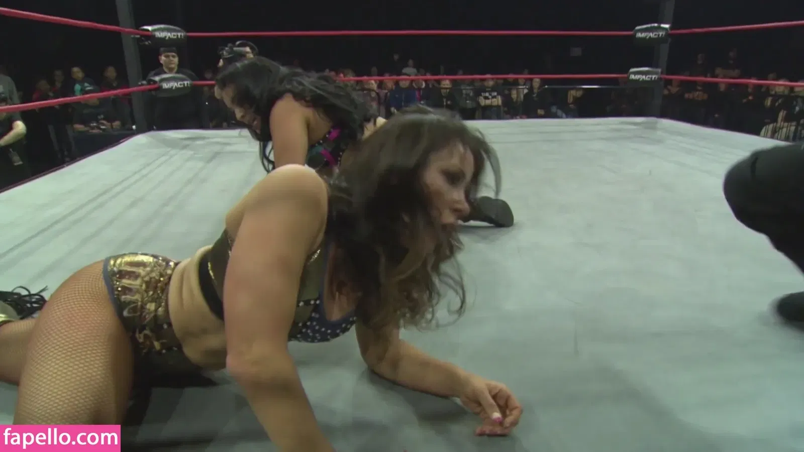 Mickie James / michelejames / themickiejames Onlyfans Photo Gallery 