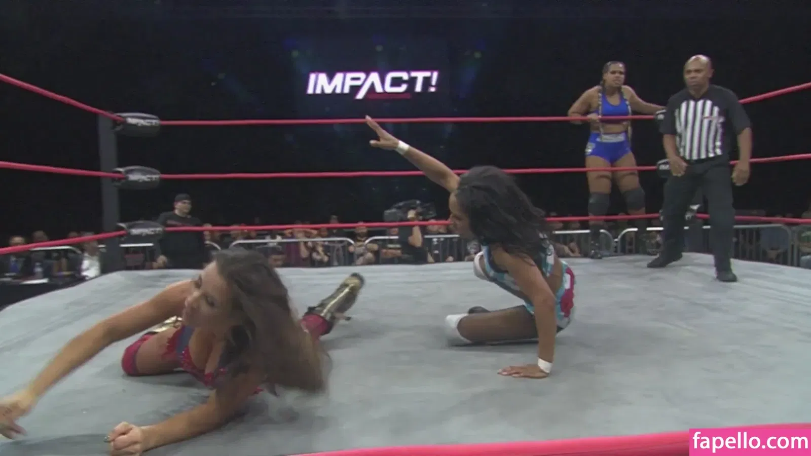 Mickie James / michelejames / themickiejames Onlyfans Photo Gallery 