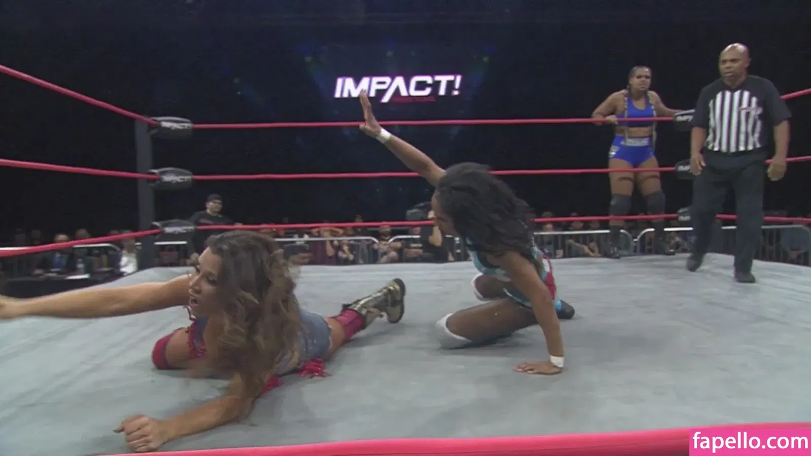 Mickie James / michelejames / themickiejames Onlyfans Photo Gallery 